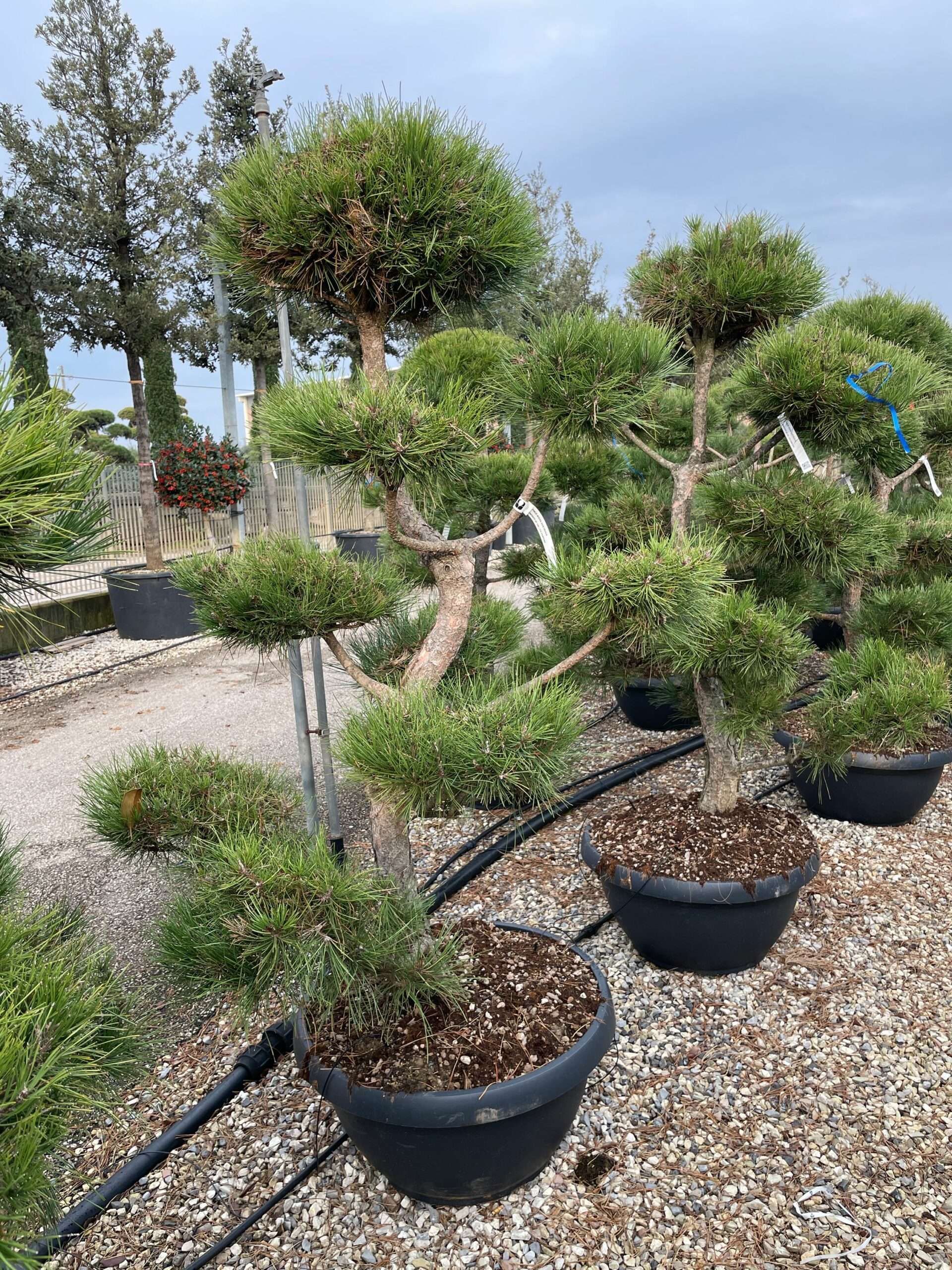 1672737174 scaled db018bff