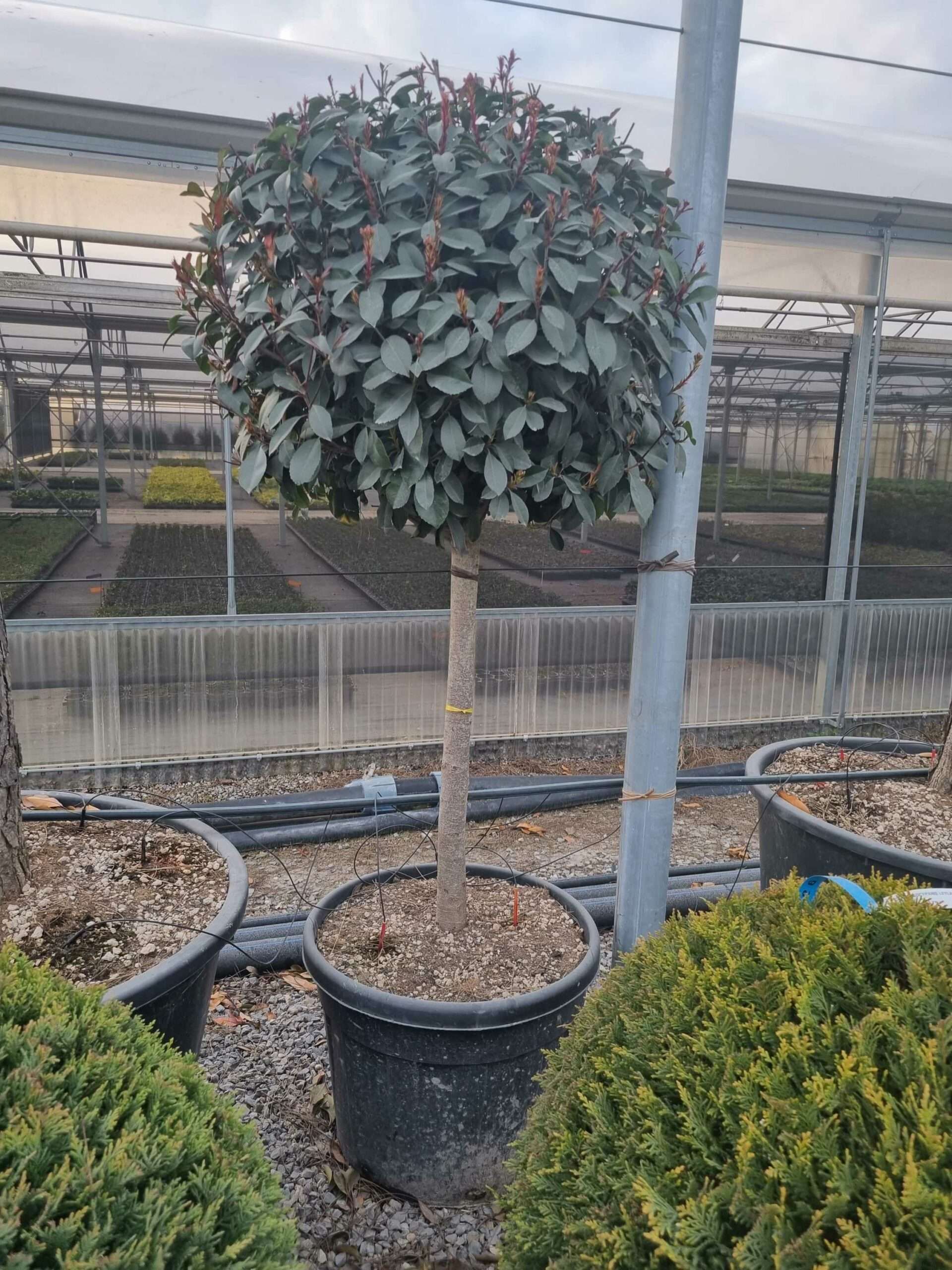 1677167293 scaled db4b06e8