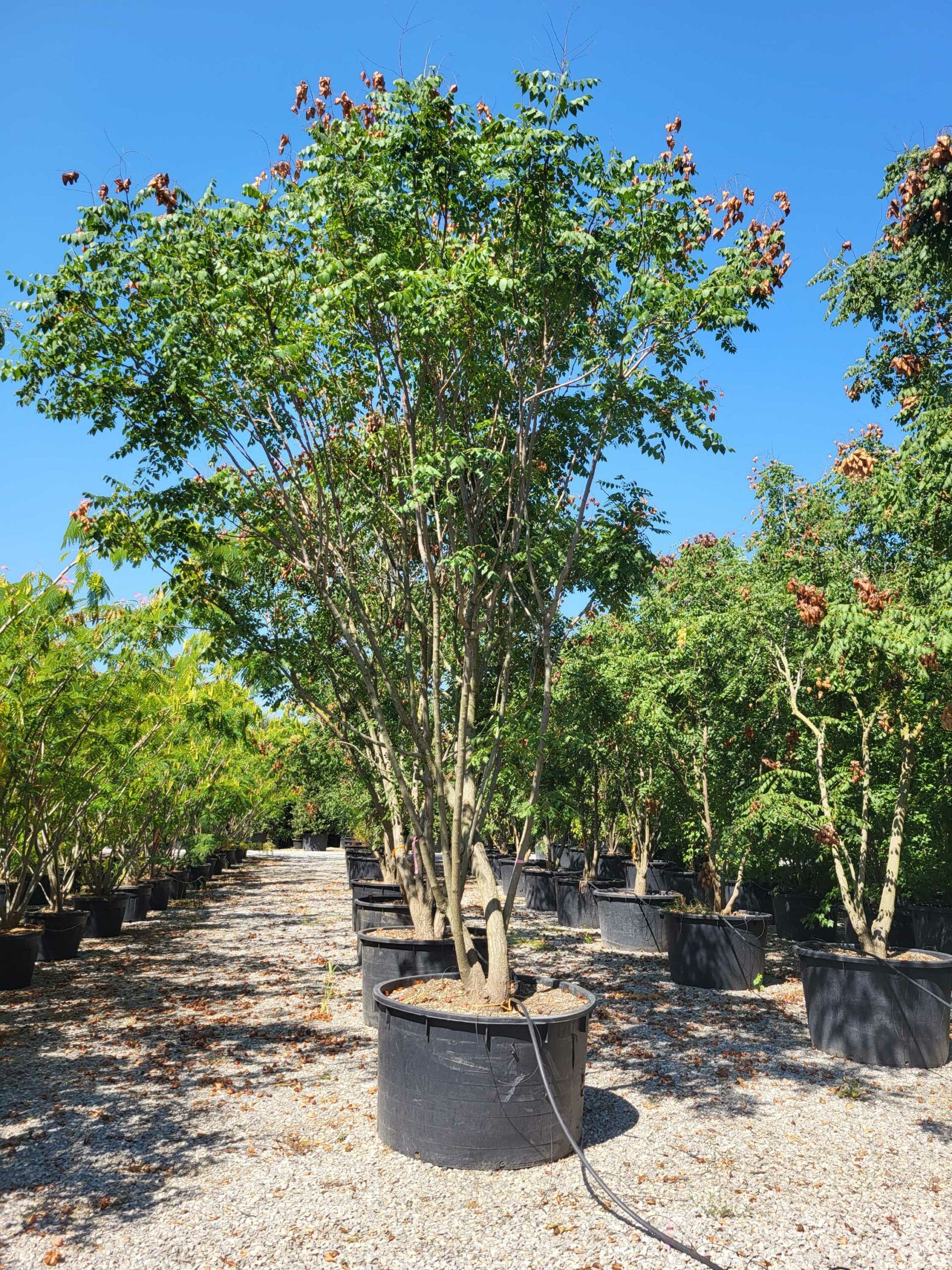 1692610920 scaled db5814dd