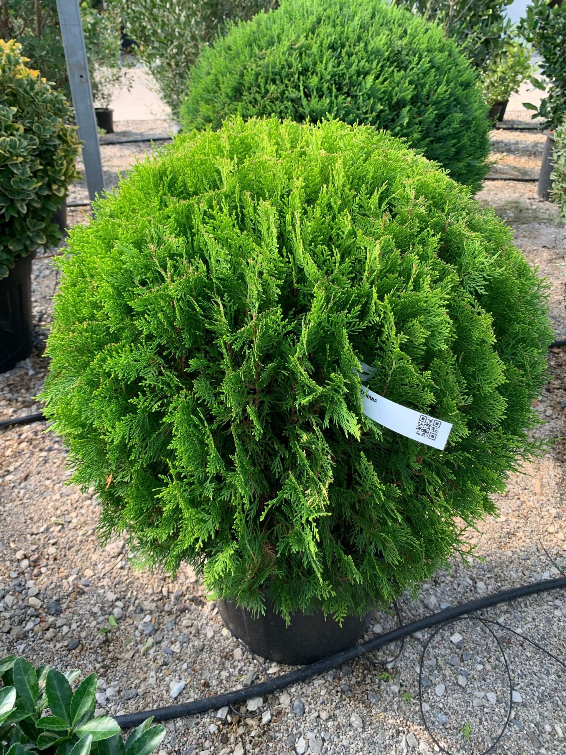 1632834525 scaled dc0ce5e3