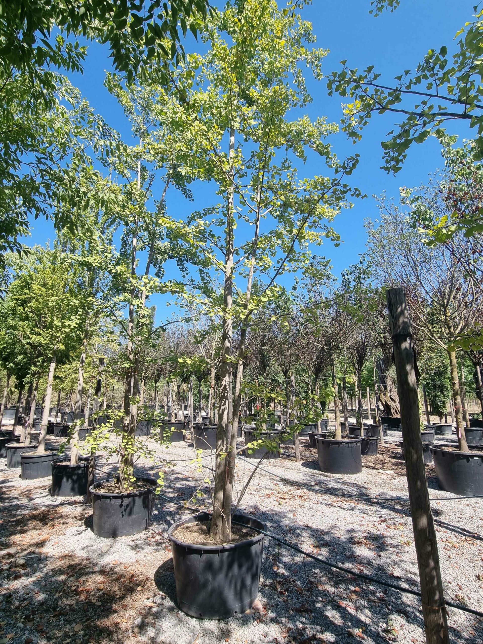 1692709358 scaled dc959be5