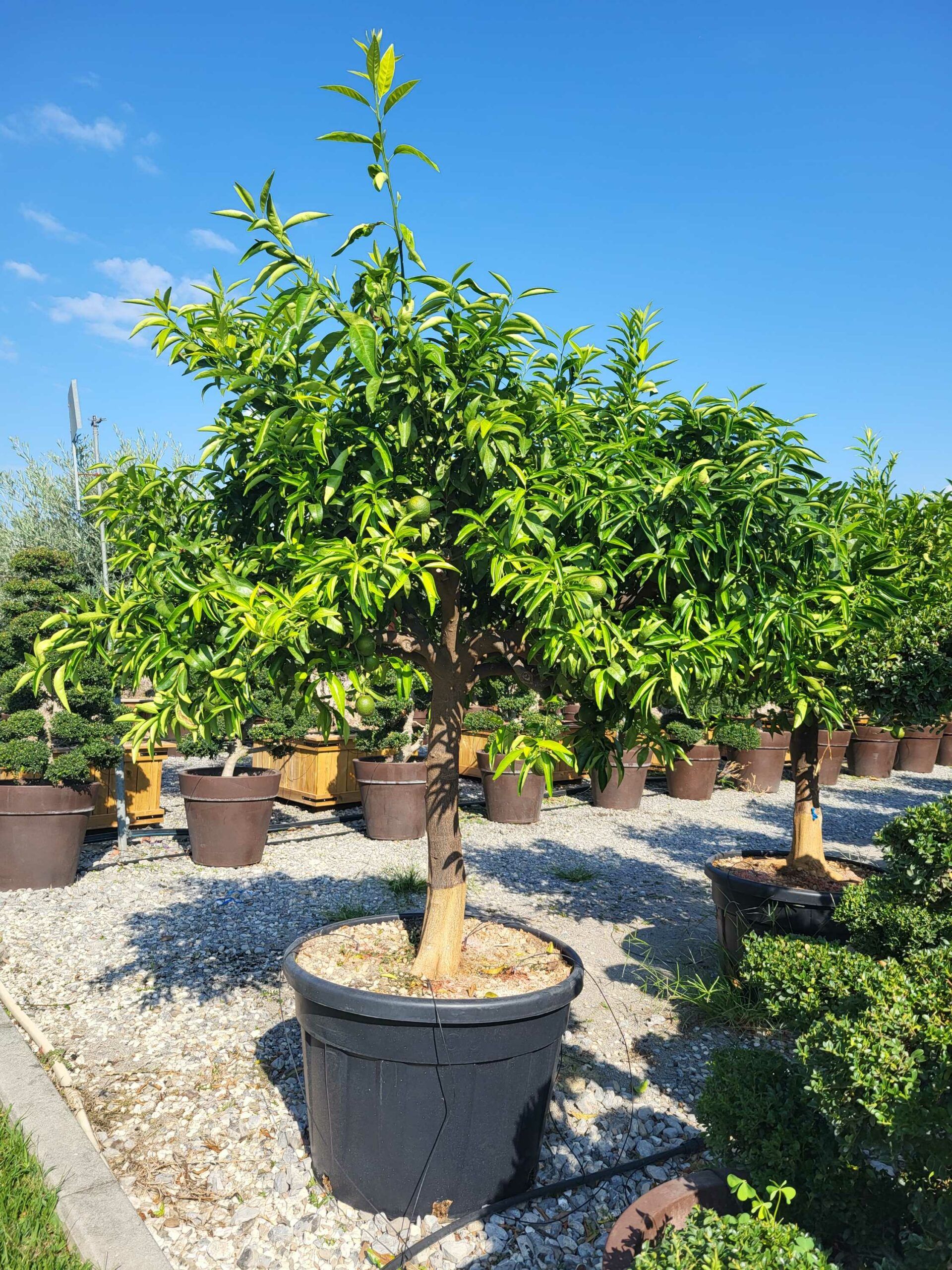 1694766499 scaled dc13b938