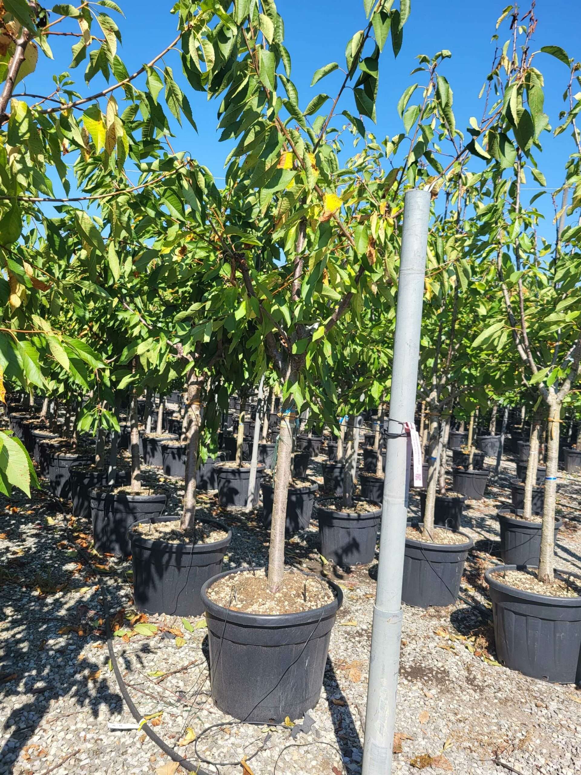 1692694345 scaled dd048955