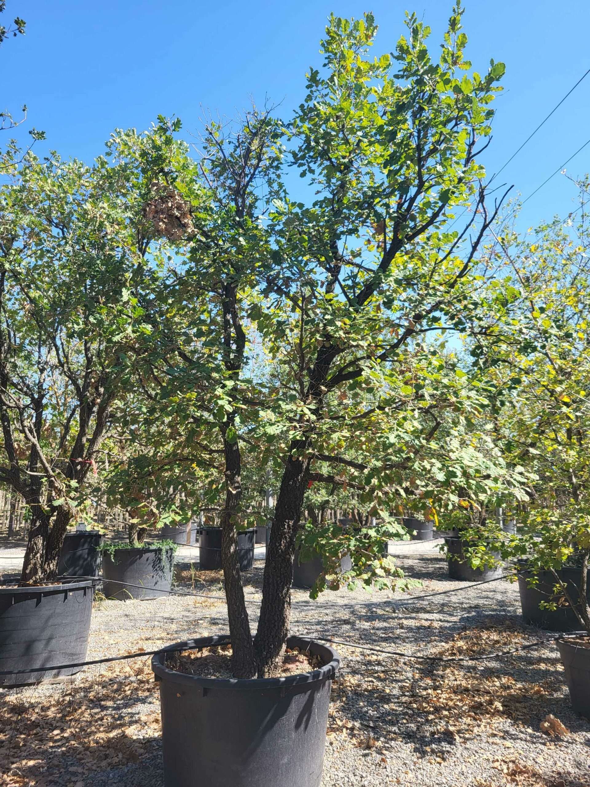 1692711453 scaled dde08f28