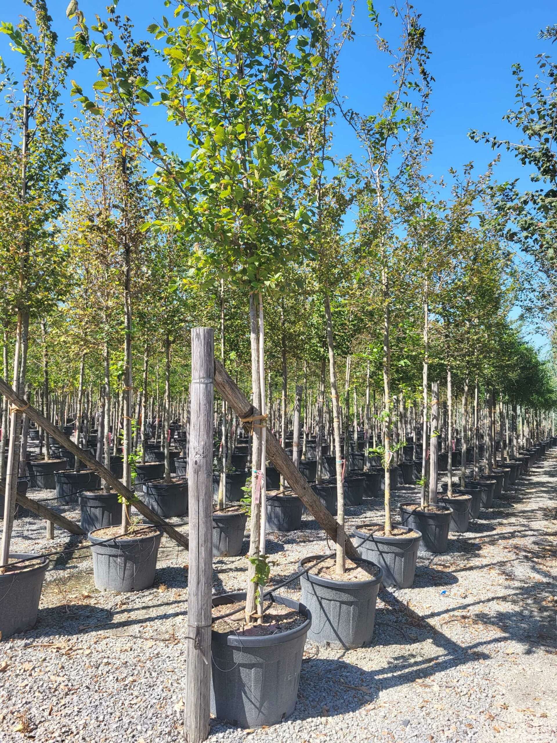 1692712424 scaled dd071b4a