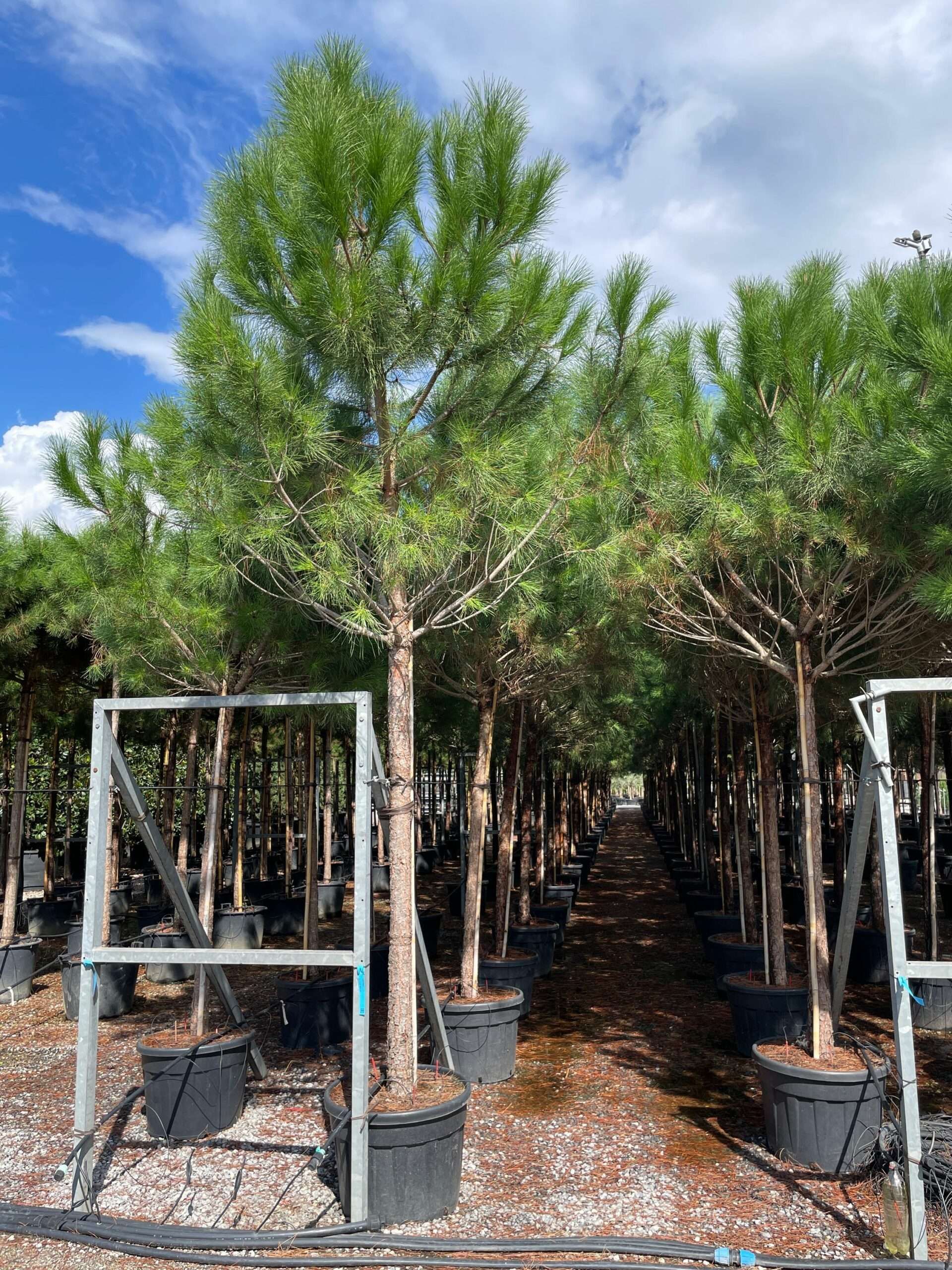 1631961118 scaled de79ebd4