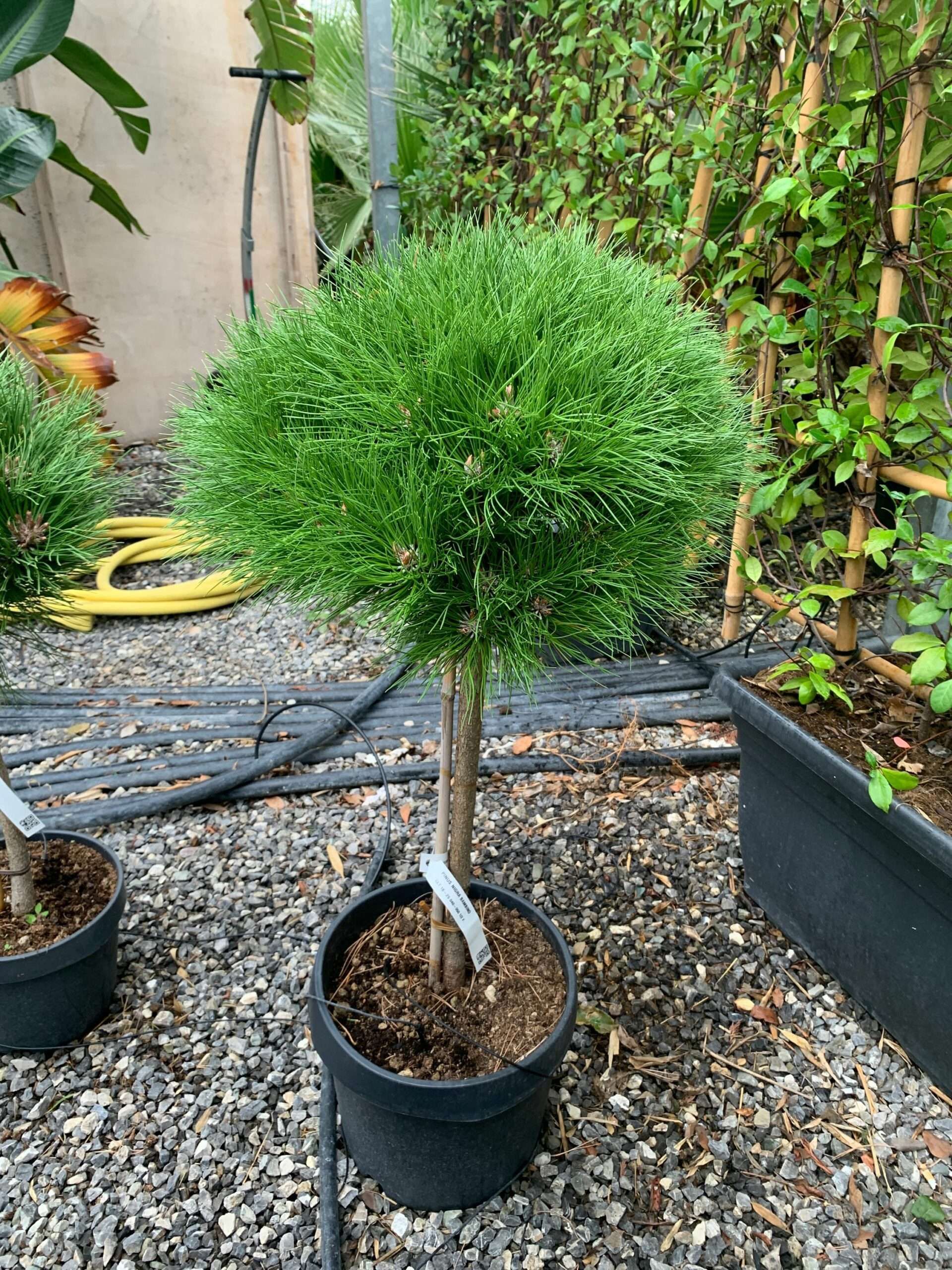 1633337929 scaled de11cd4d