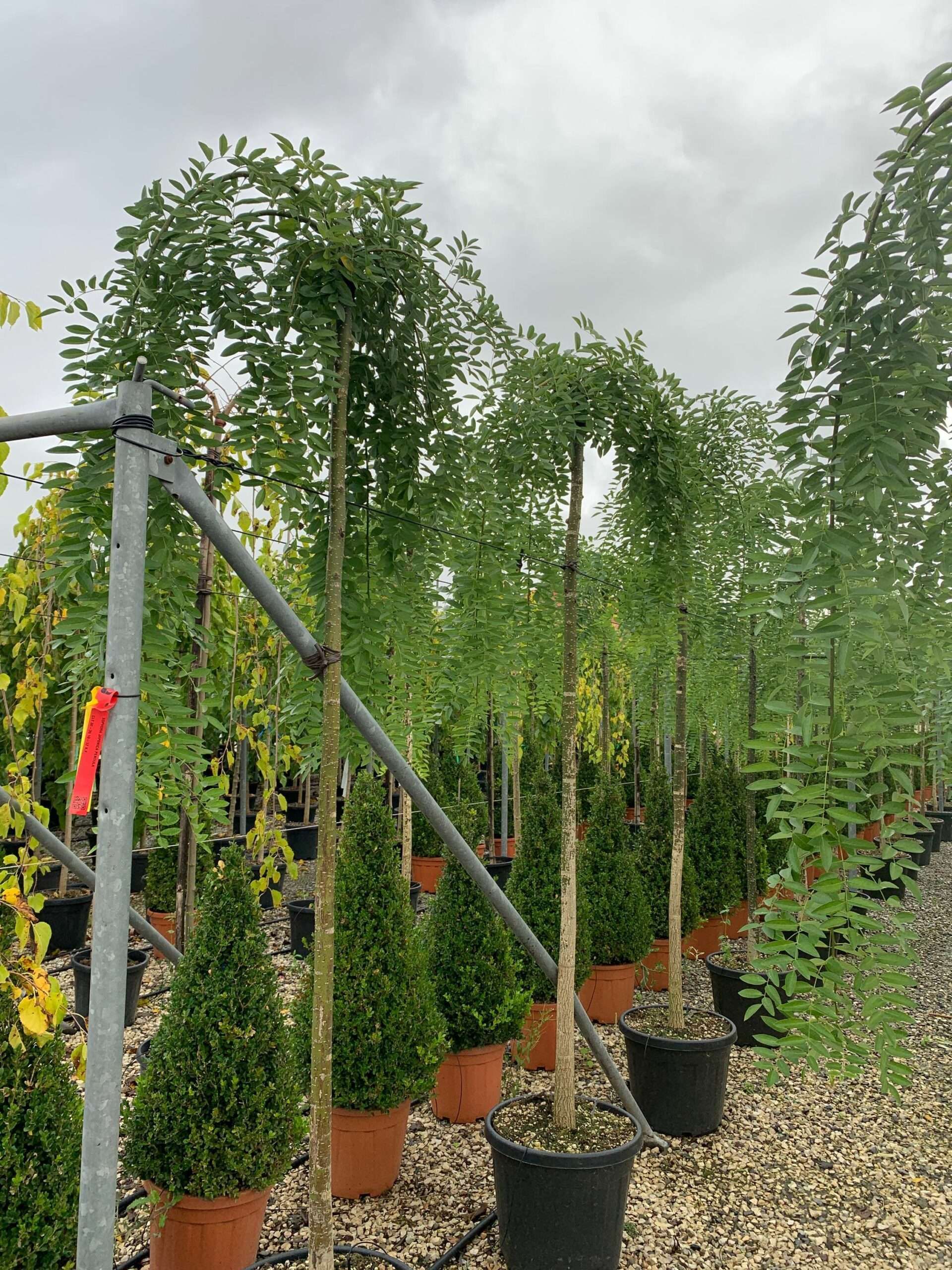 1633422293 scaled deb1359d