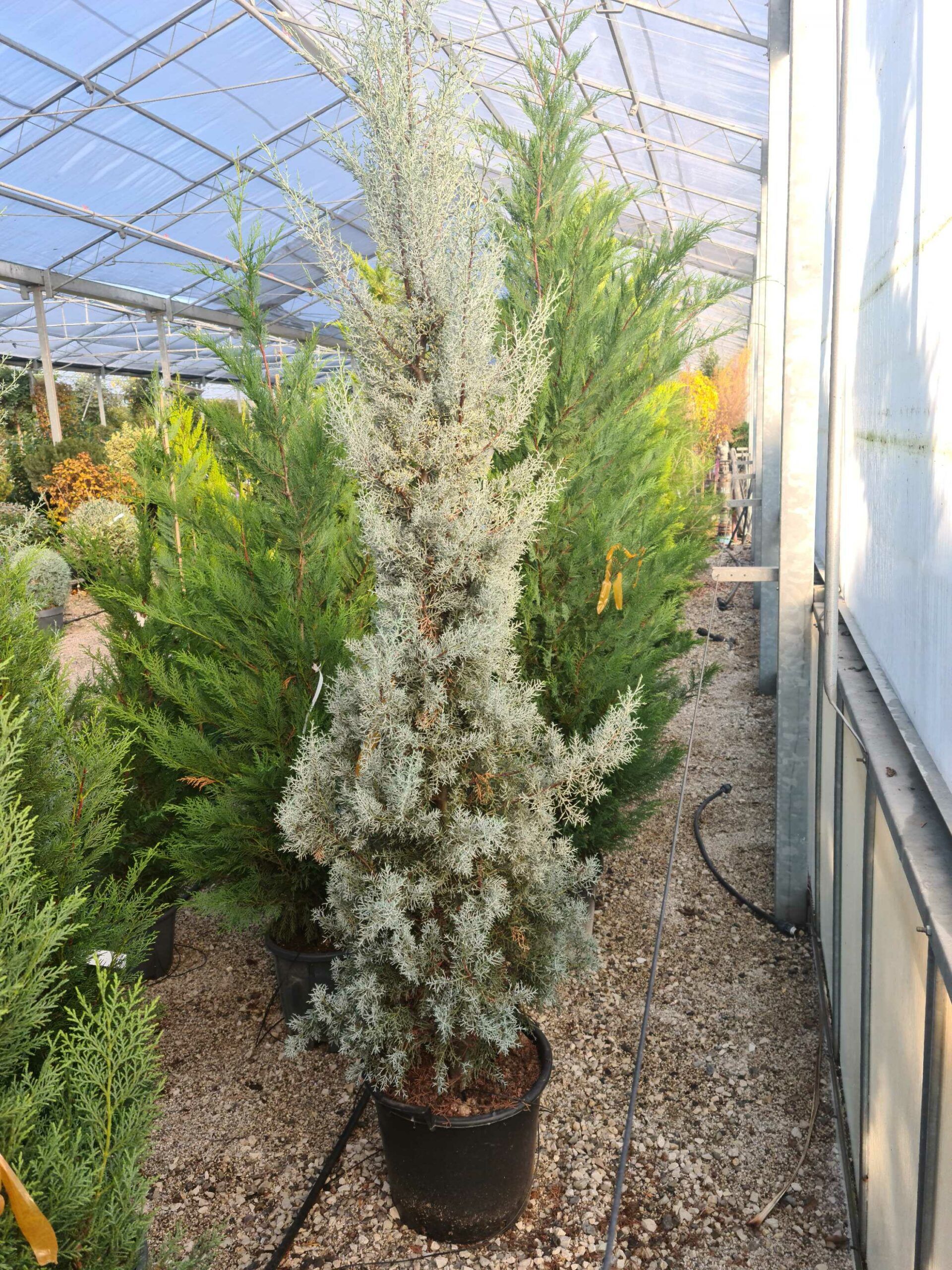 1639473458 scaled de0ccdeb