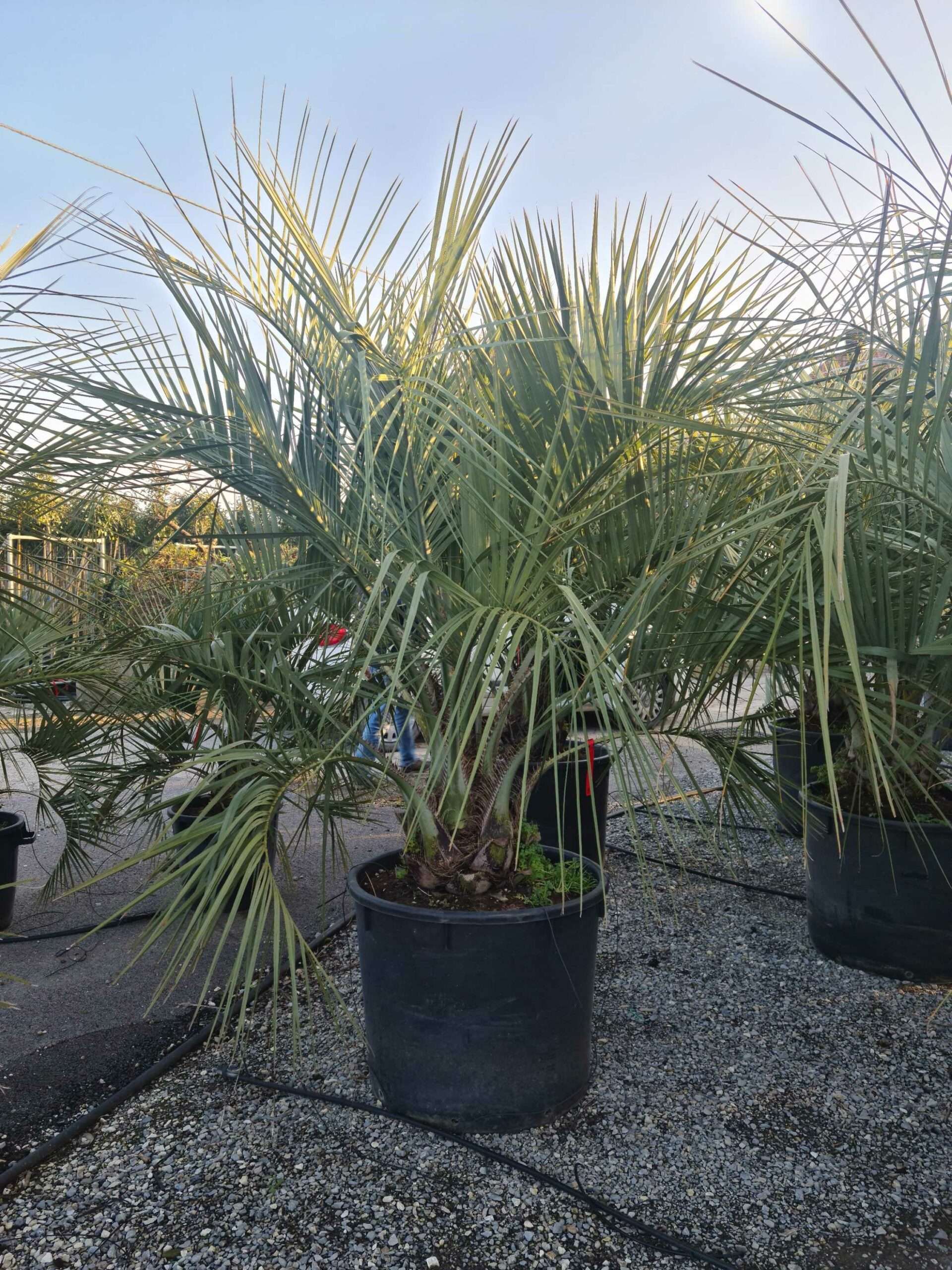 1642777243 scaled de5929a2