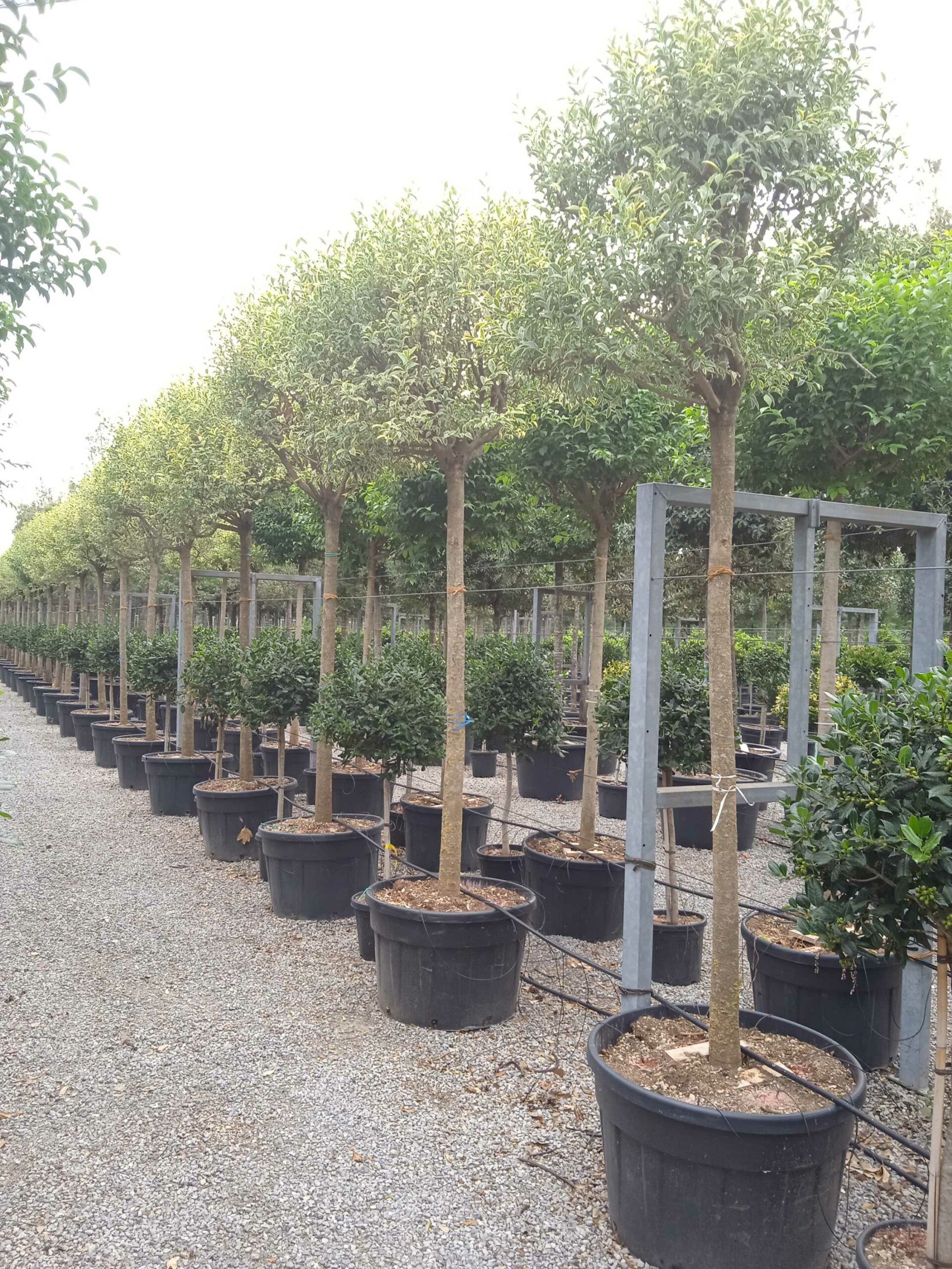 1661870970 scaled deaa2bb3