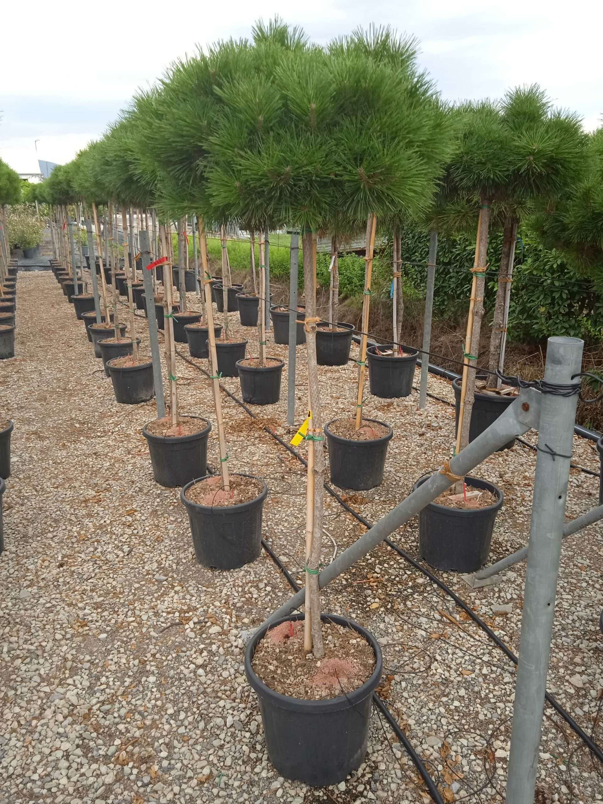 1661955229 scaled de4d79ae