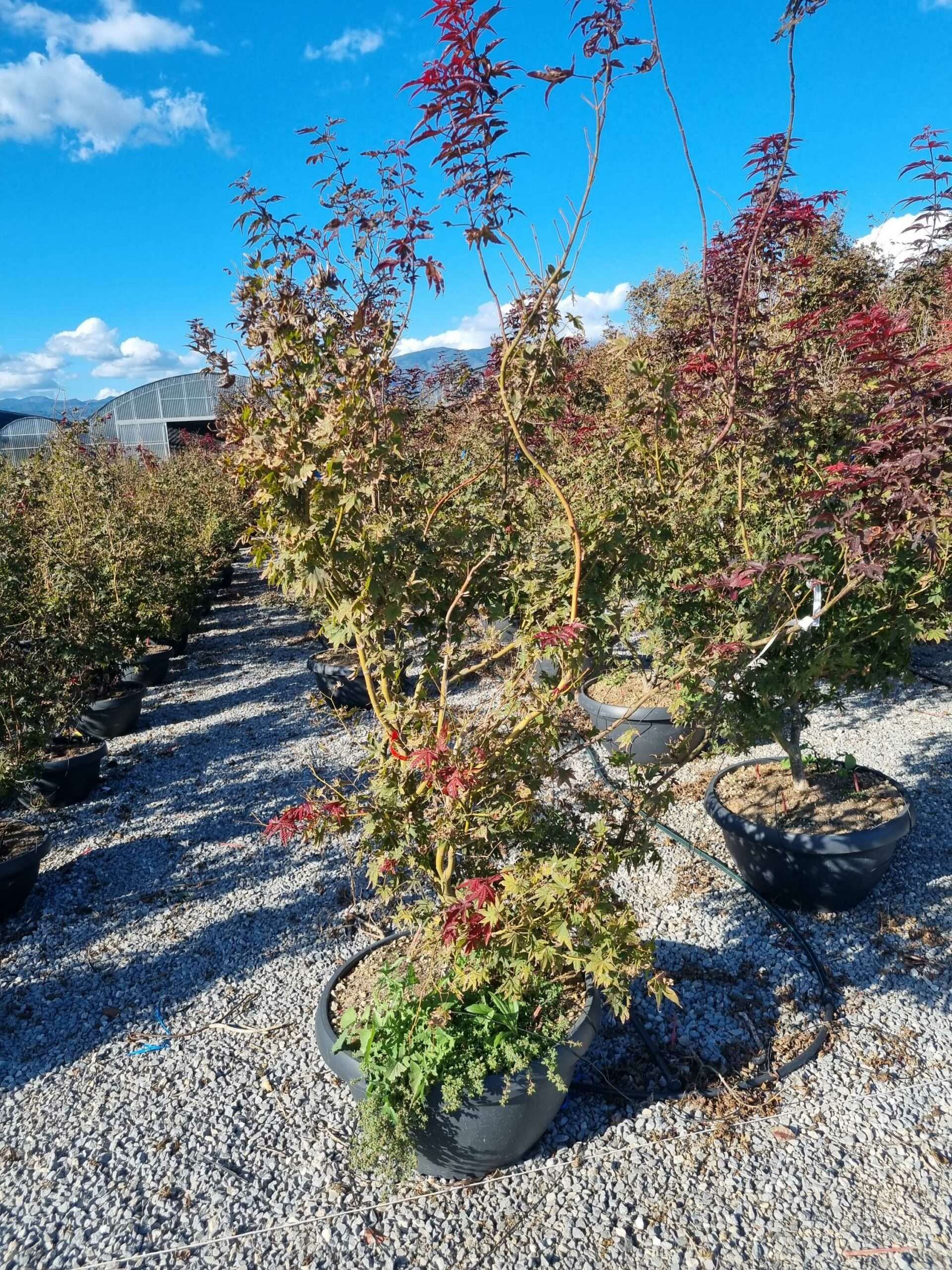 1663771851 scaled deb78f7e