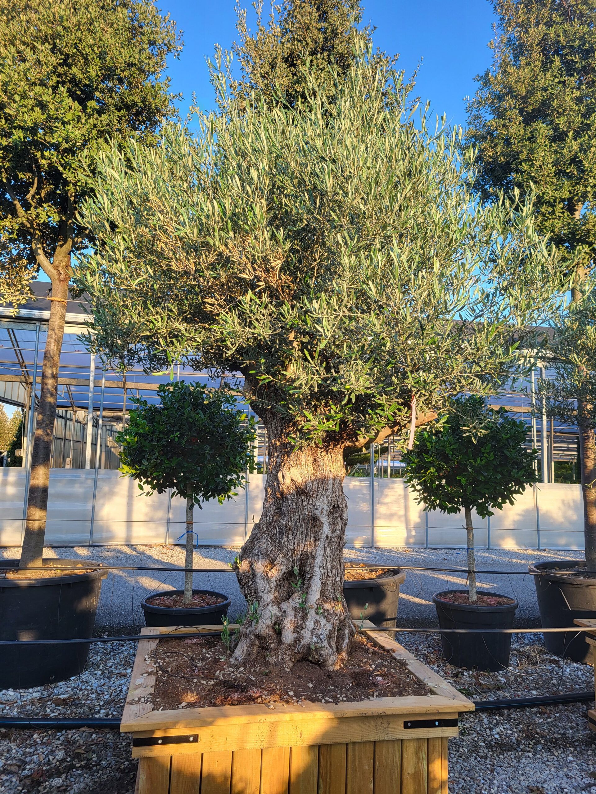 1692684893 scaled de69ba04