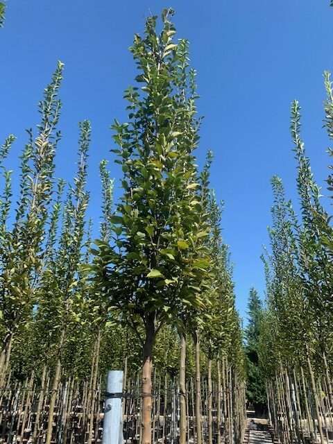 1607102751 rotated dfc50e13