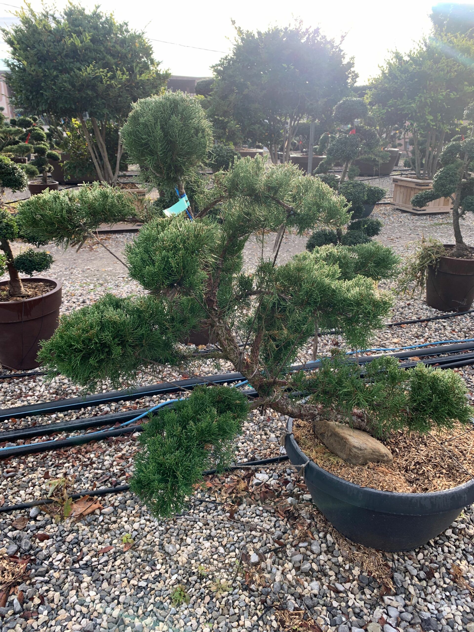 1636097360 scaled dff259ae