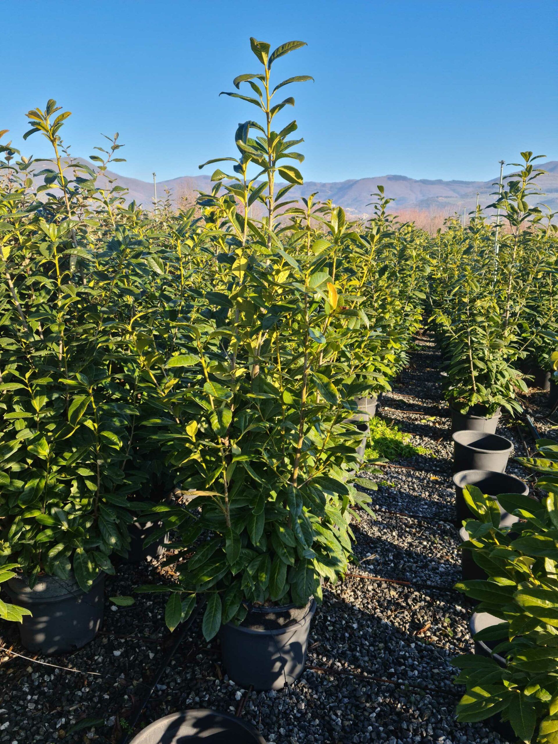 1642840646 scaled dfb414b0