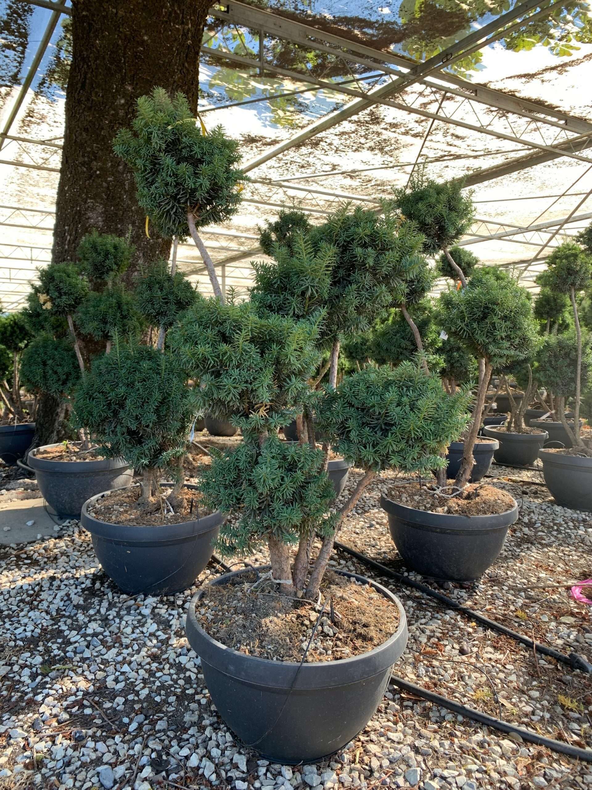 1657524211 scaled dfd9ebad