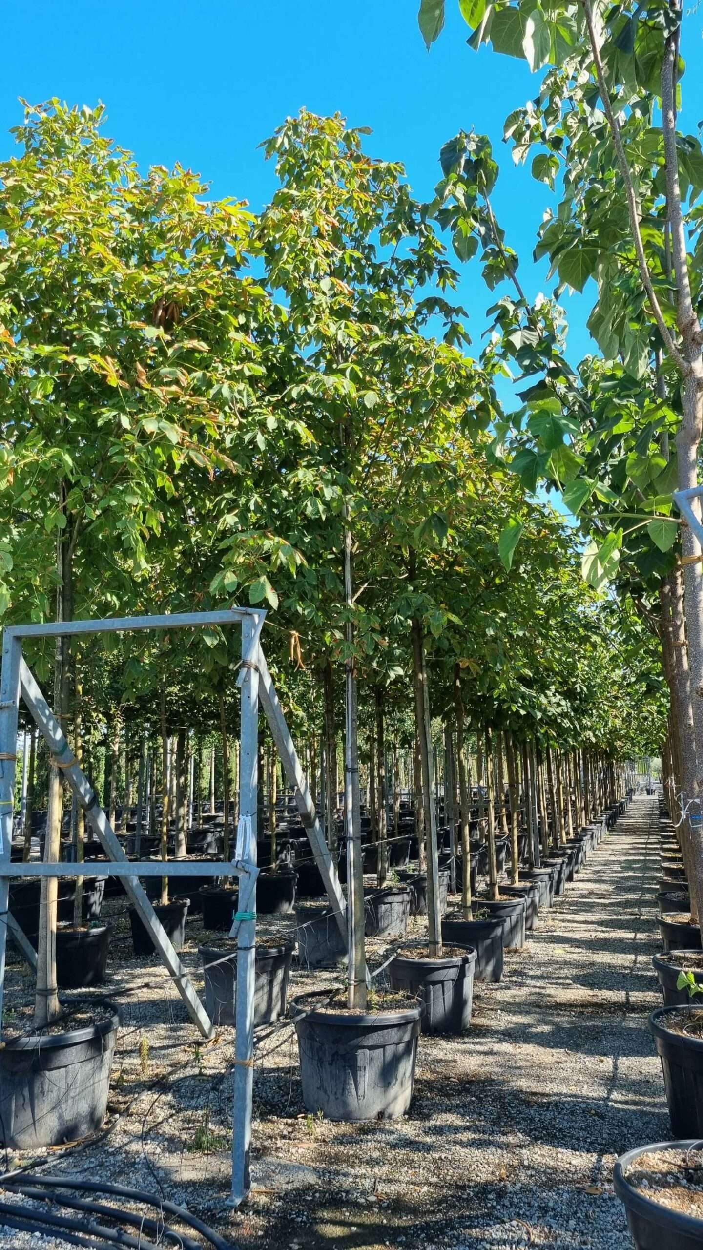 1657898649 scaled dfd28fa4