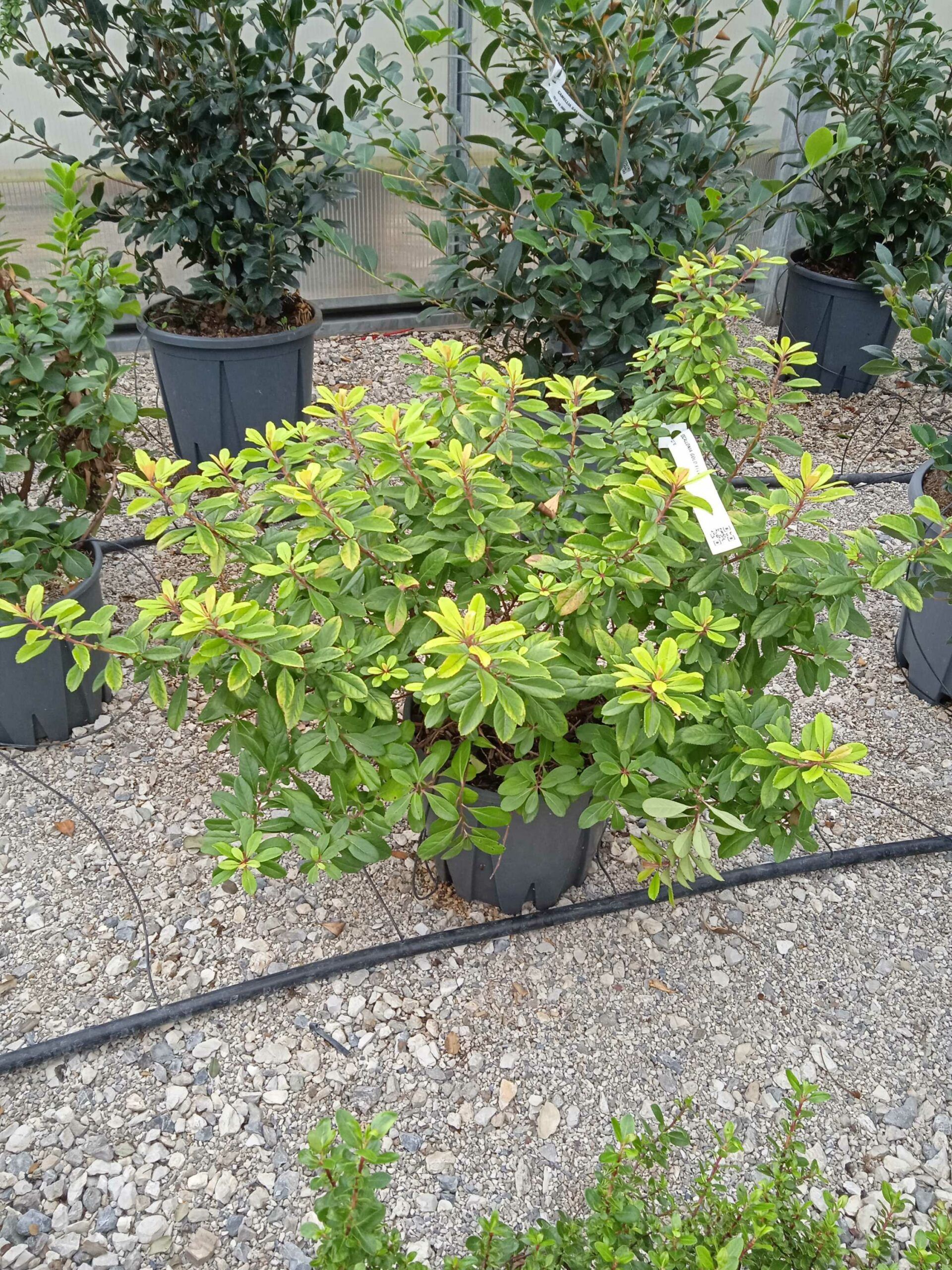 1662189093 scaled dfbd3c60