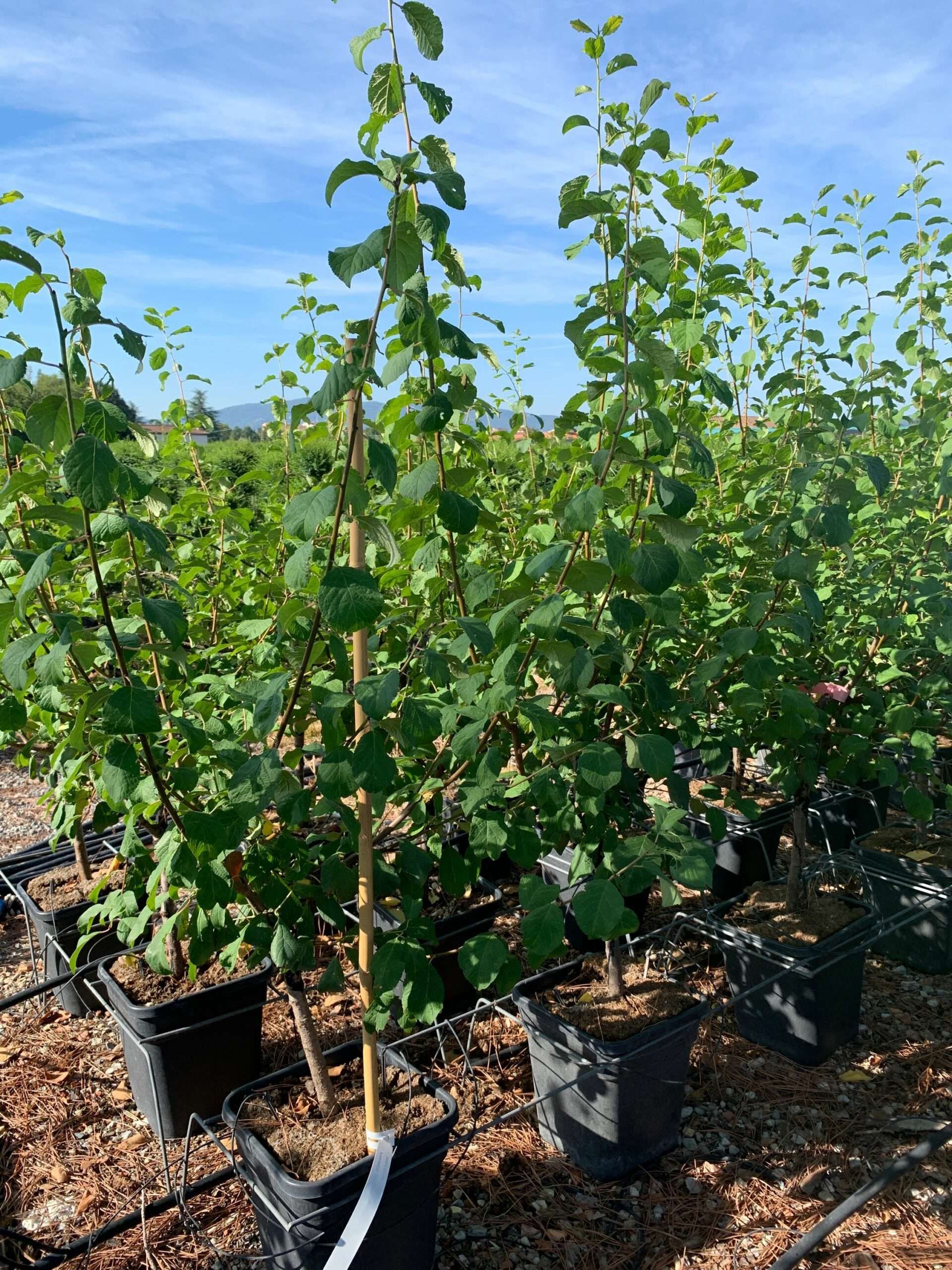 1662363948 scaled df3fddd9