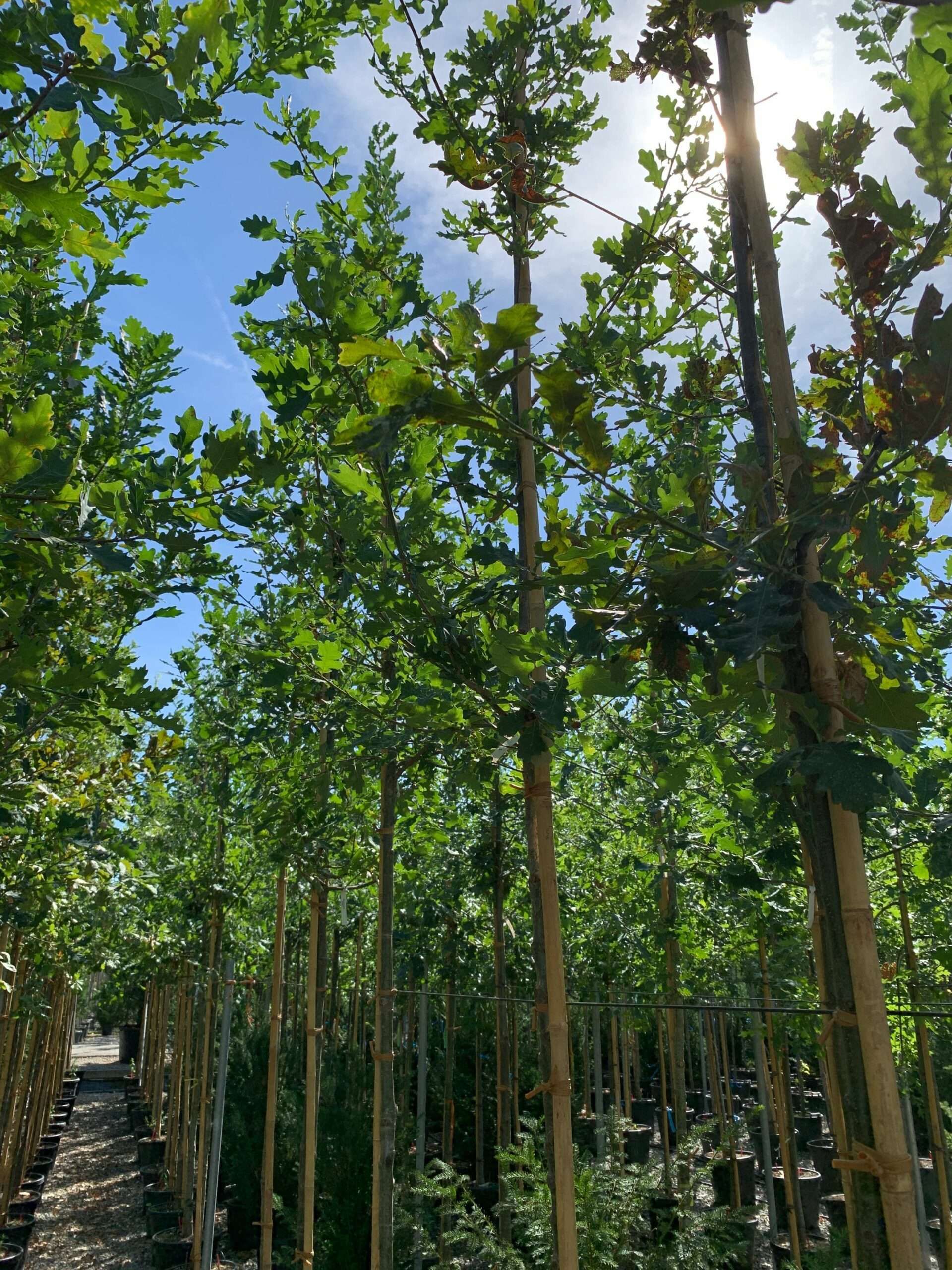 1662455434 scaled dfc75fbf