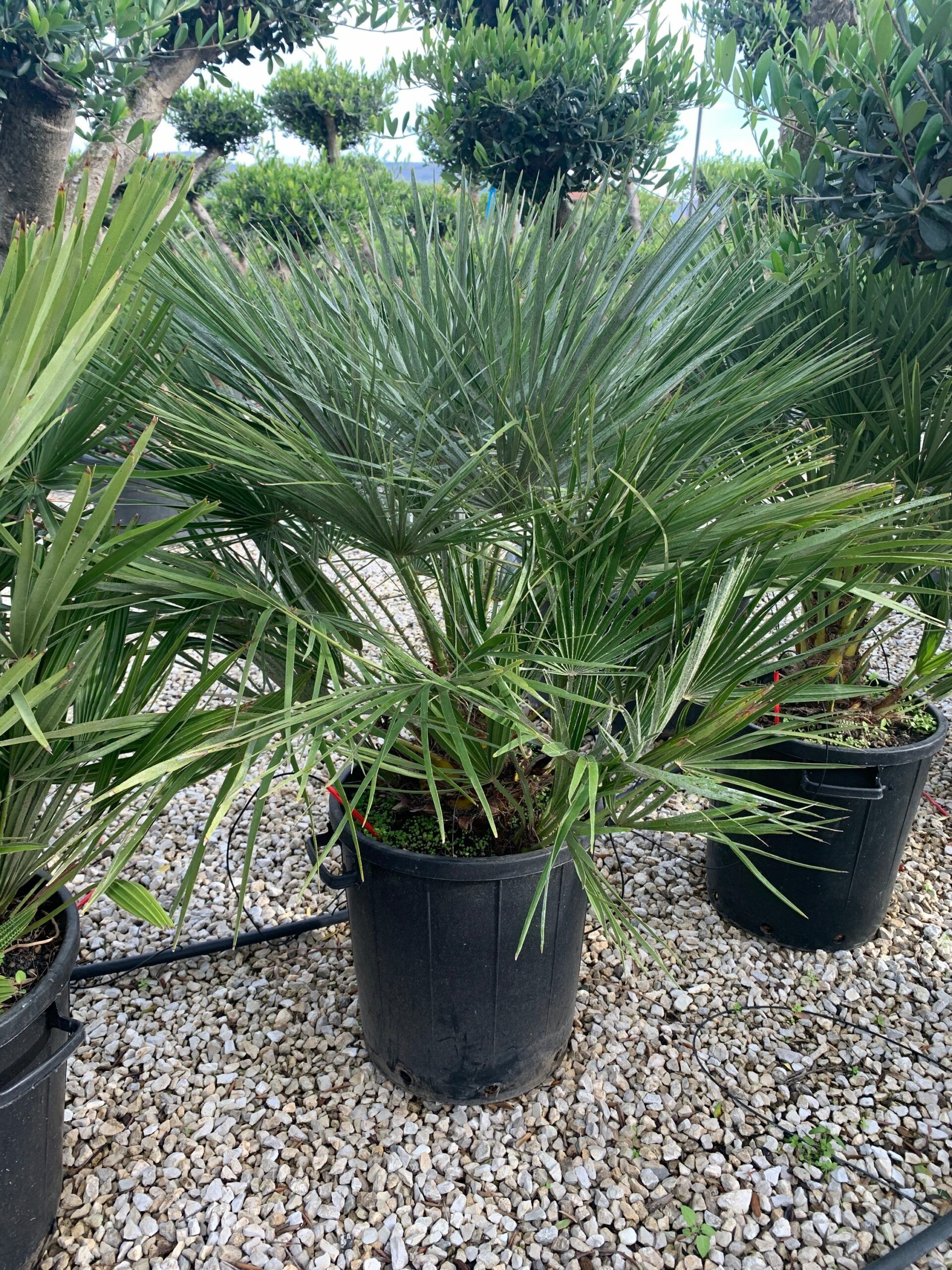 1636101005 scaled e0325c3a