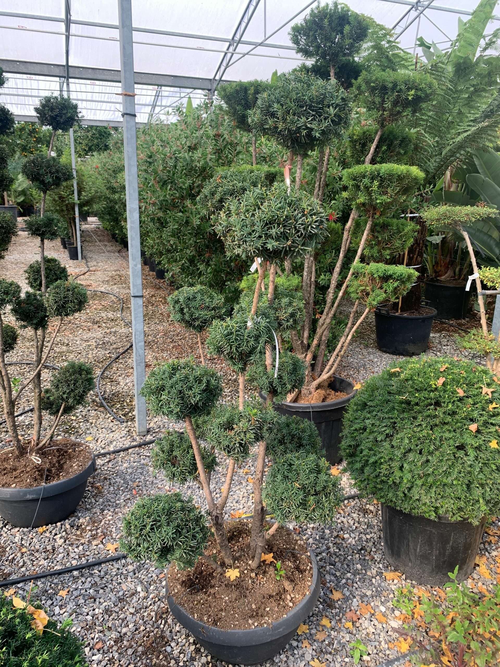 1636365505 scaled e0c6be7d