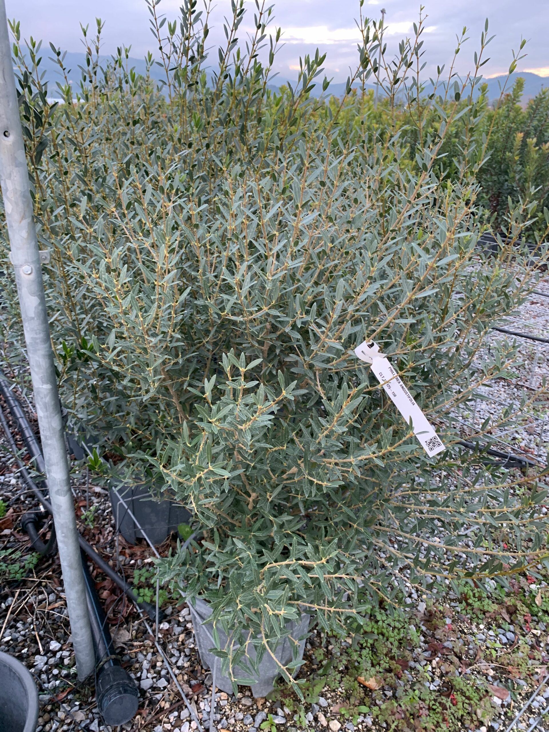 1637940406 scaled e050ad83