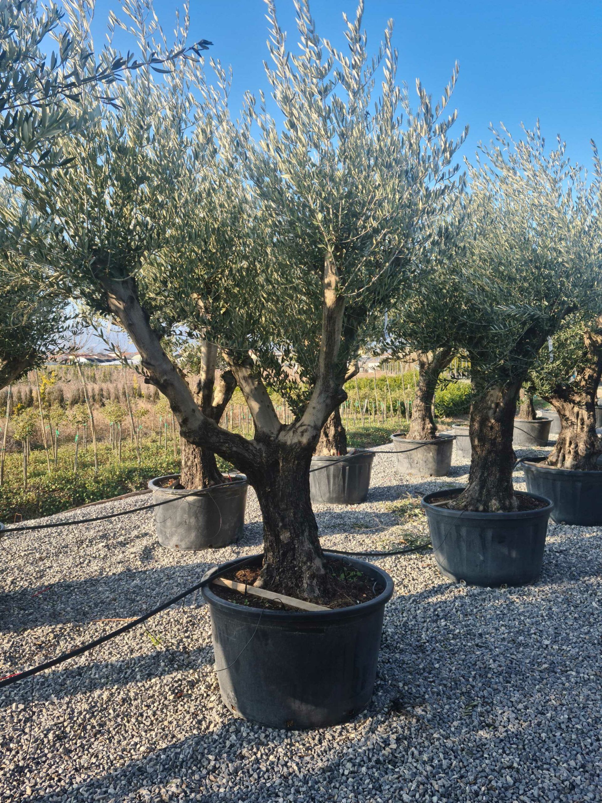 1642773234 scaled e057909d