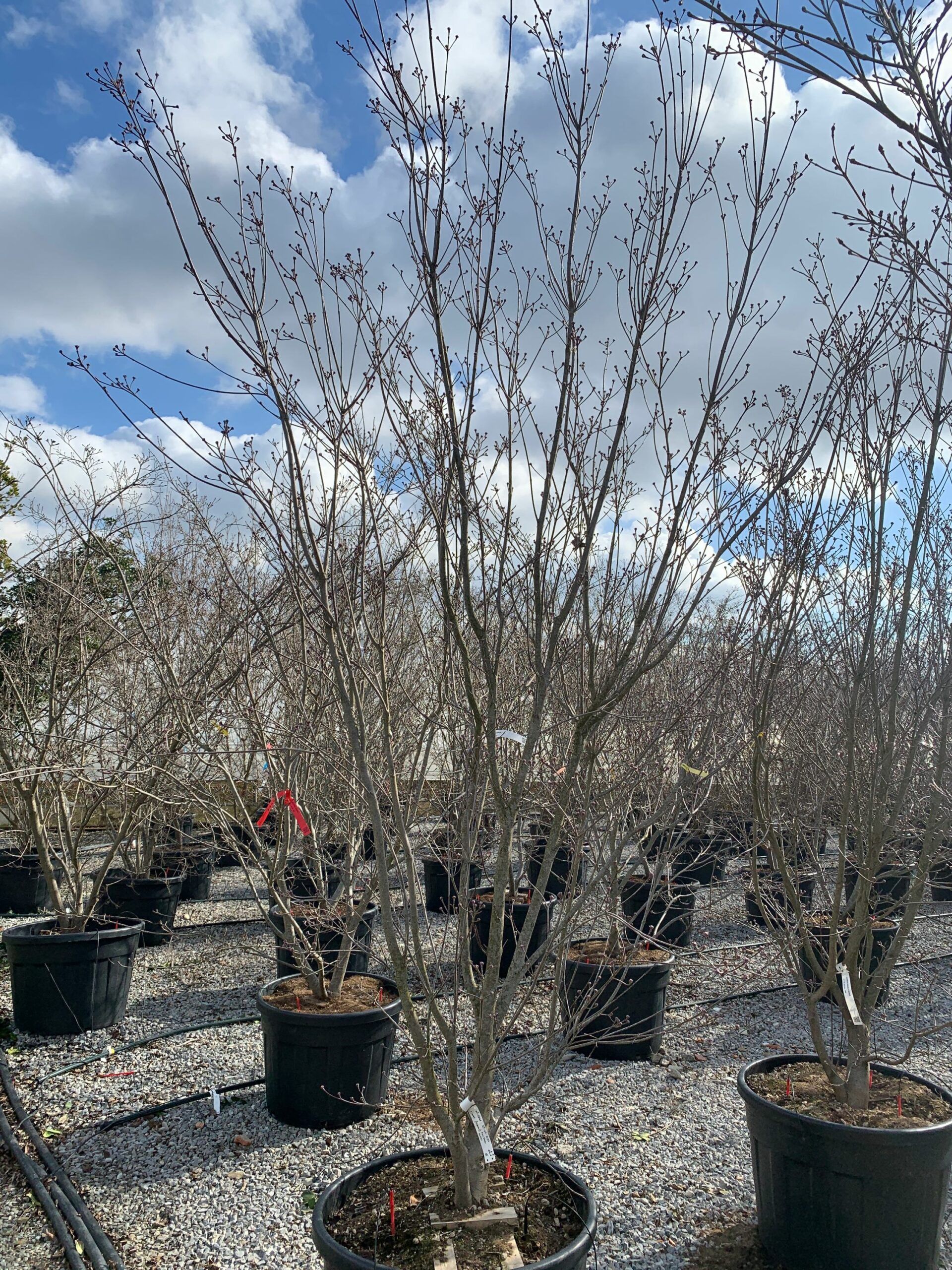 1644493007 scaled e0e7e0c6