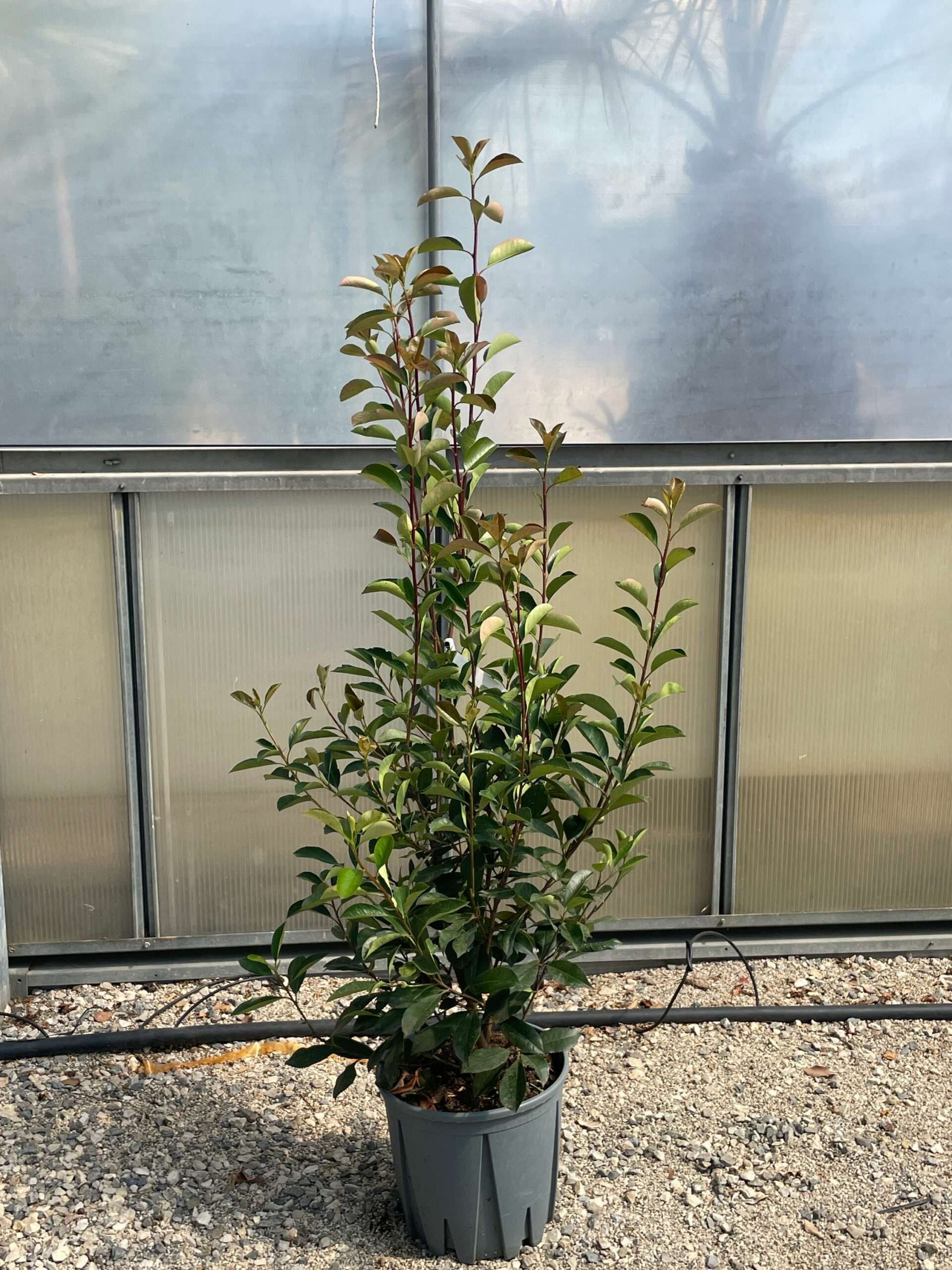 1661344802 scaled e0f519bd