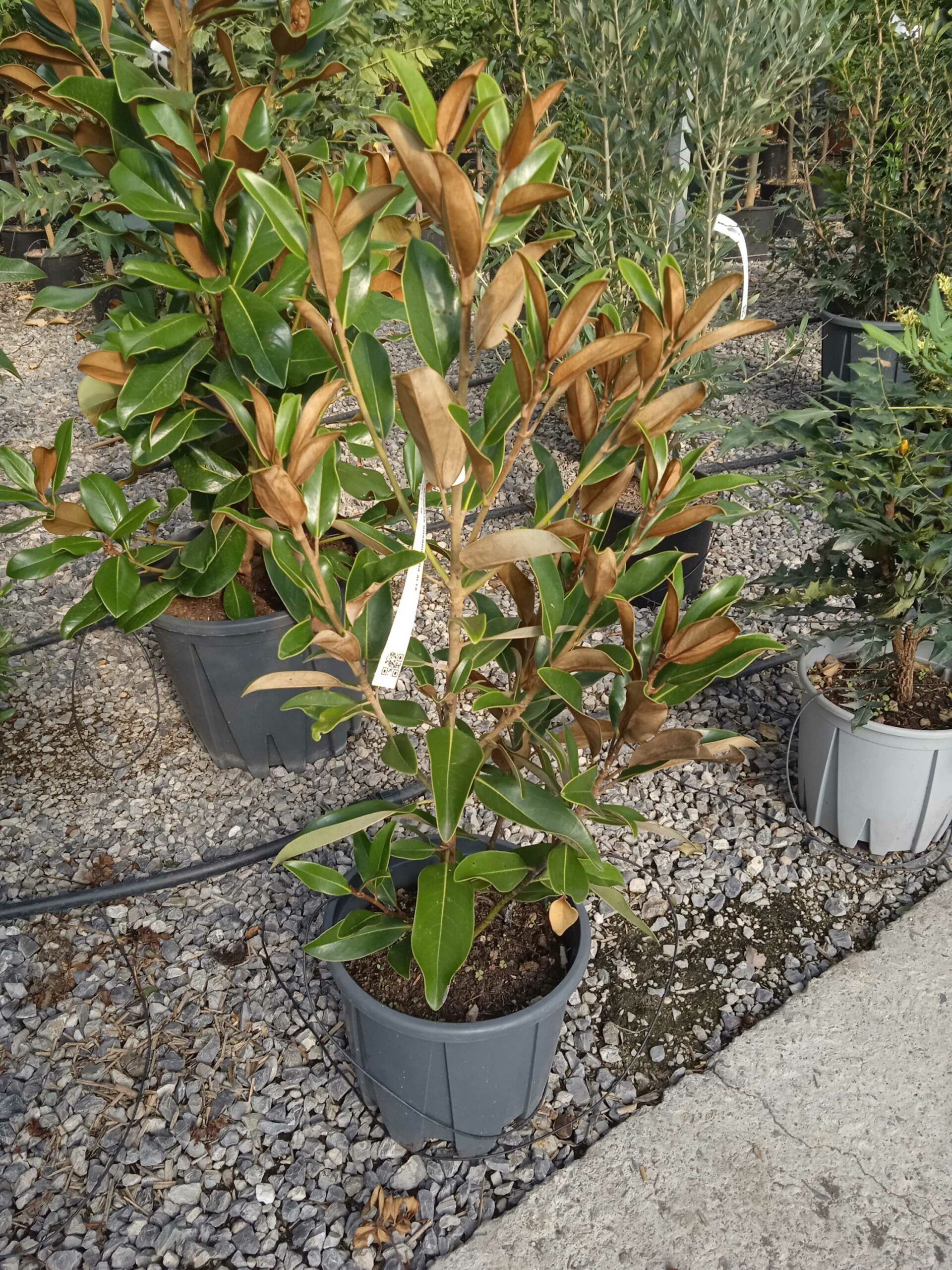 1662449578 scaled e0bda905