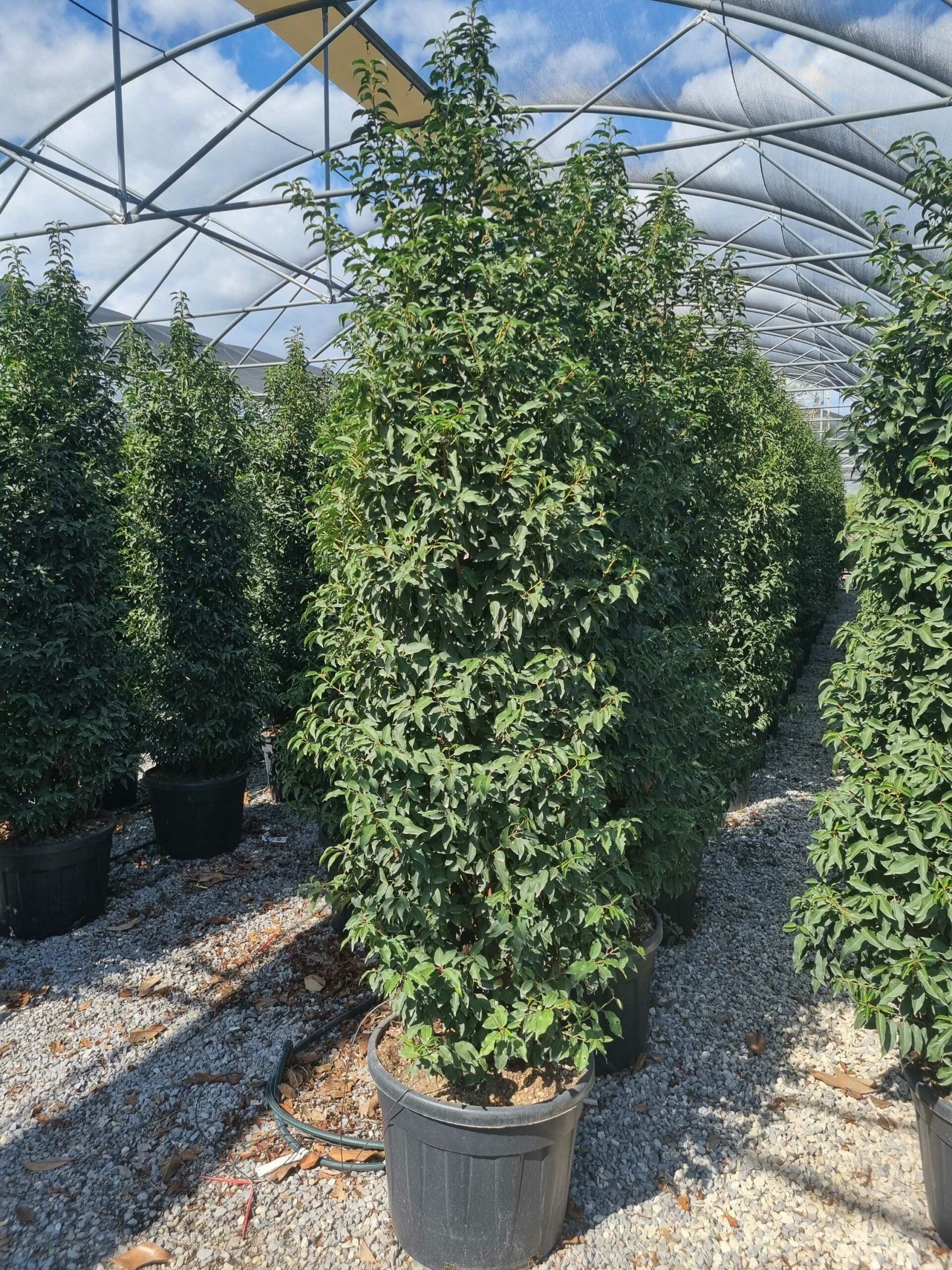 1663589202 scaled e0f895f0