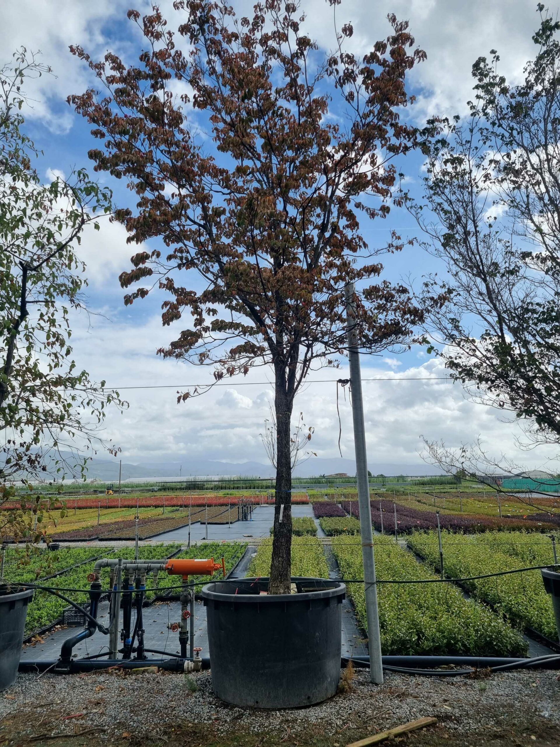 1664443169 scaled e0b9bb78