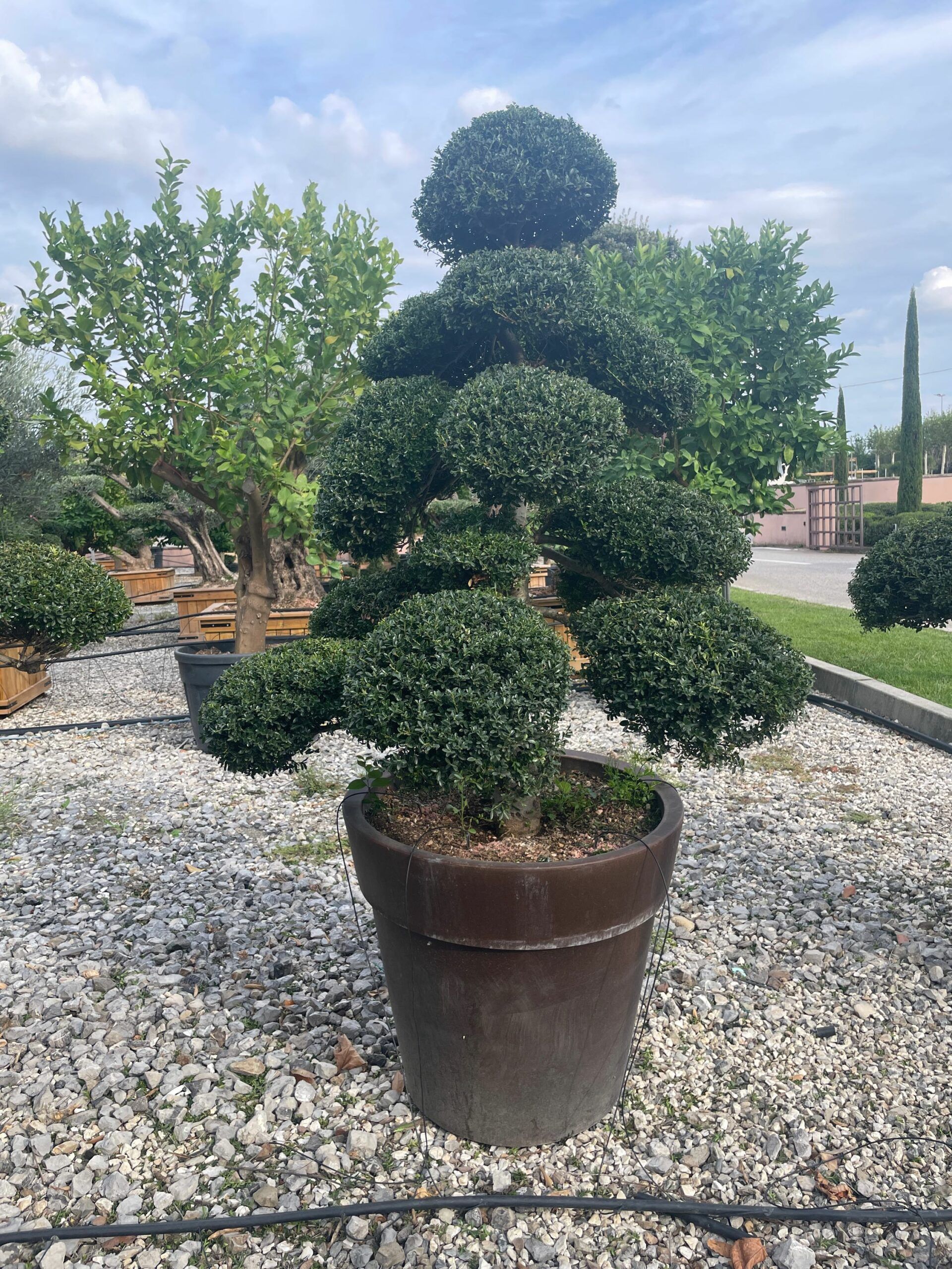 1694703424 scaled e05230aa