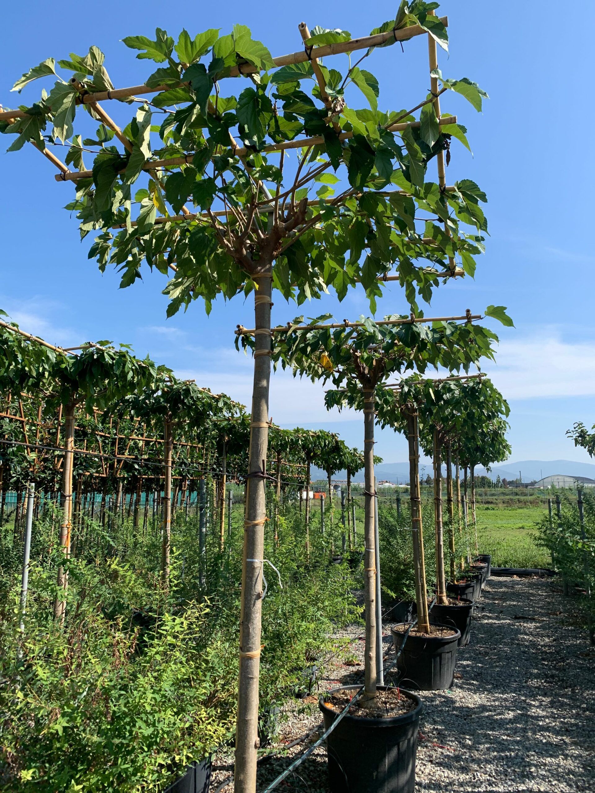 1632911229 scaled e1dc8878