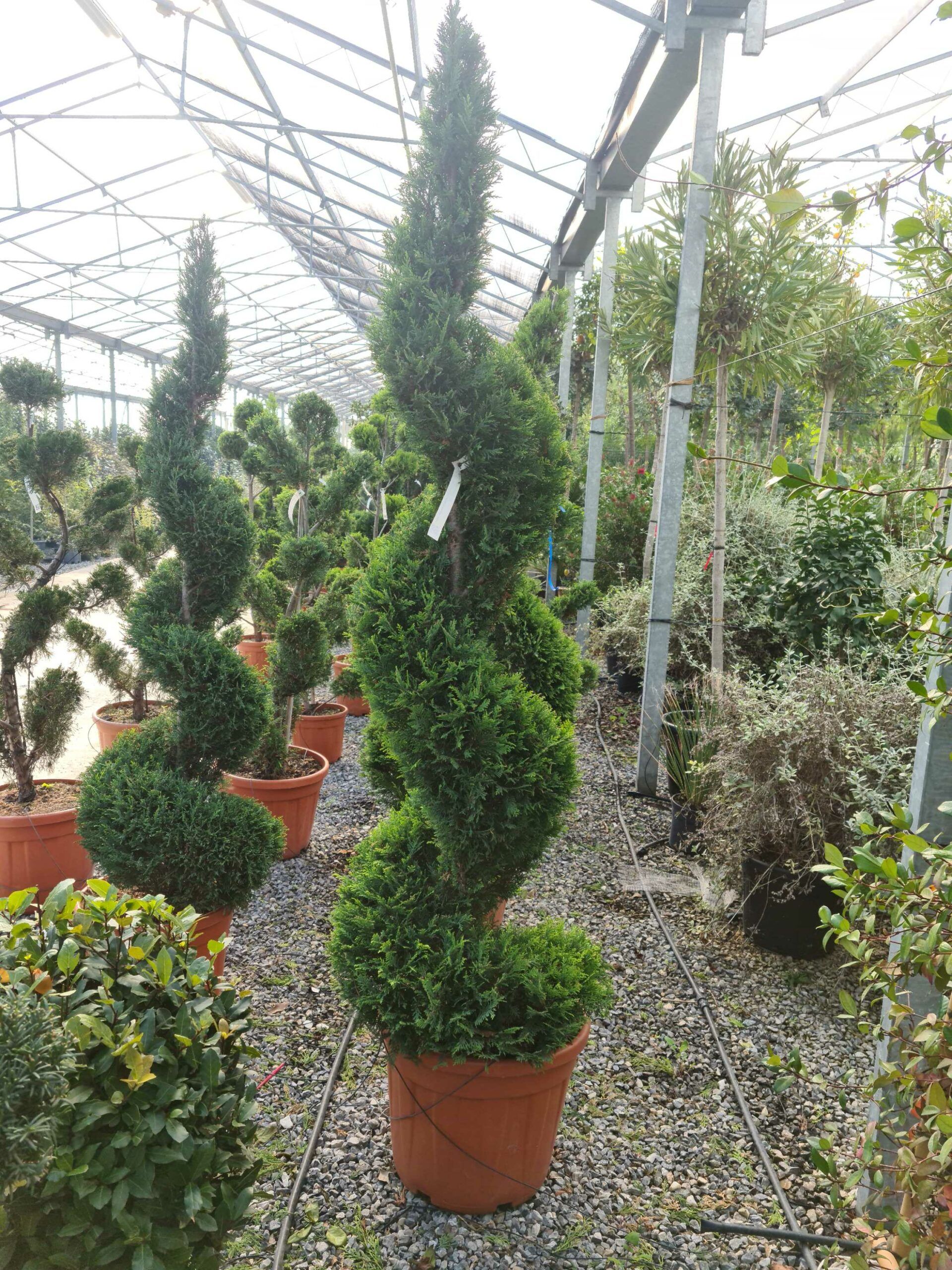 1639479096 scaled e154a3f7