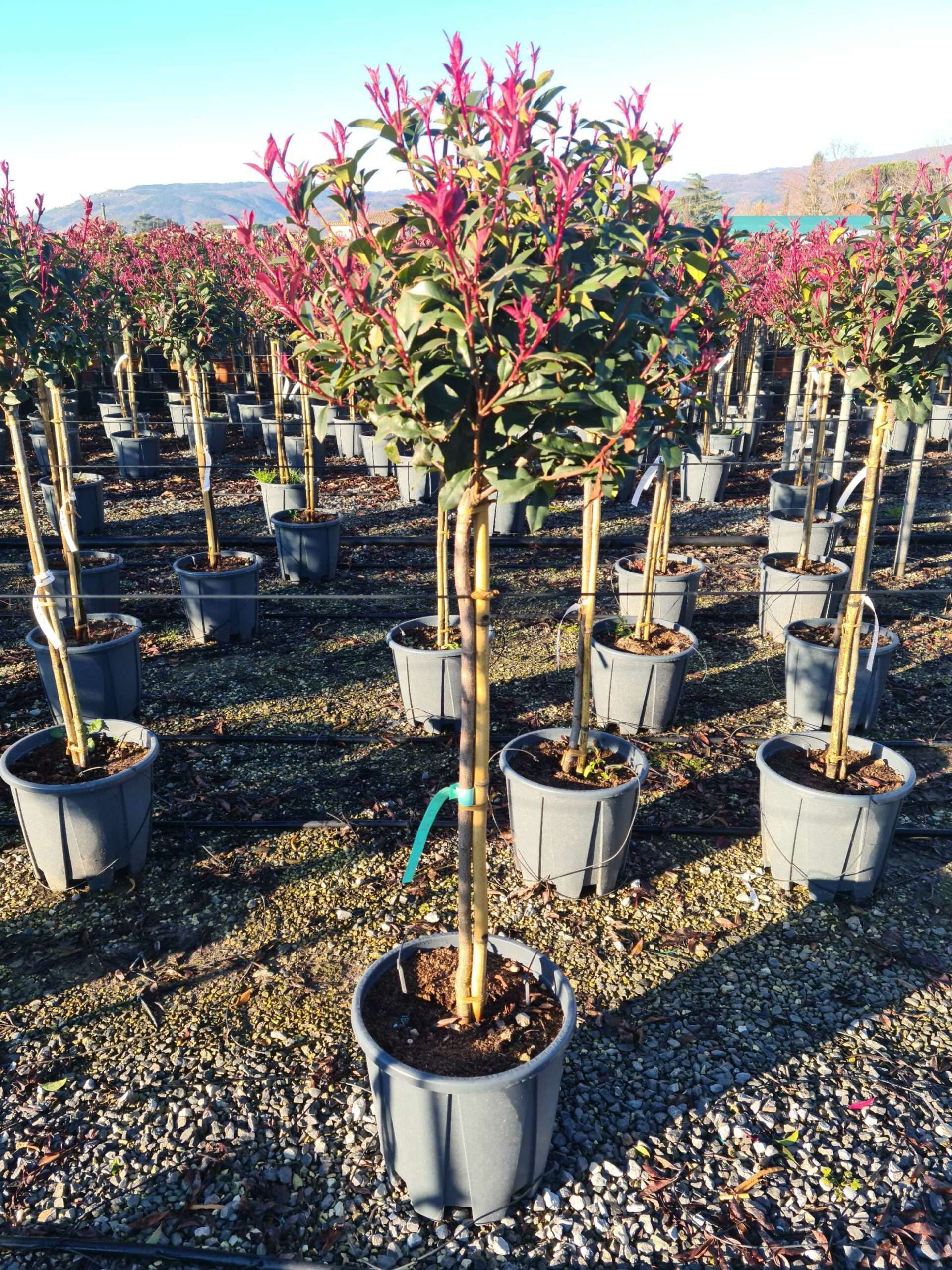 1639643552 scaled e197c1c0