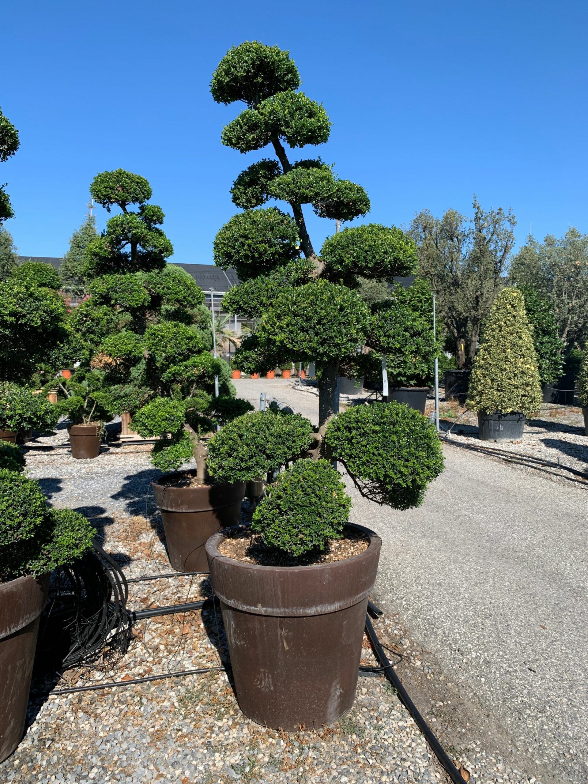 1659599585 scaled e1d19661