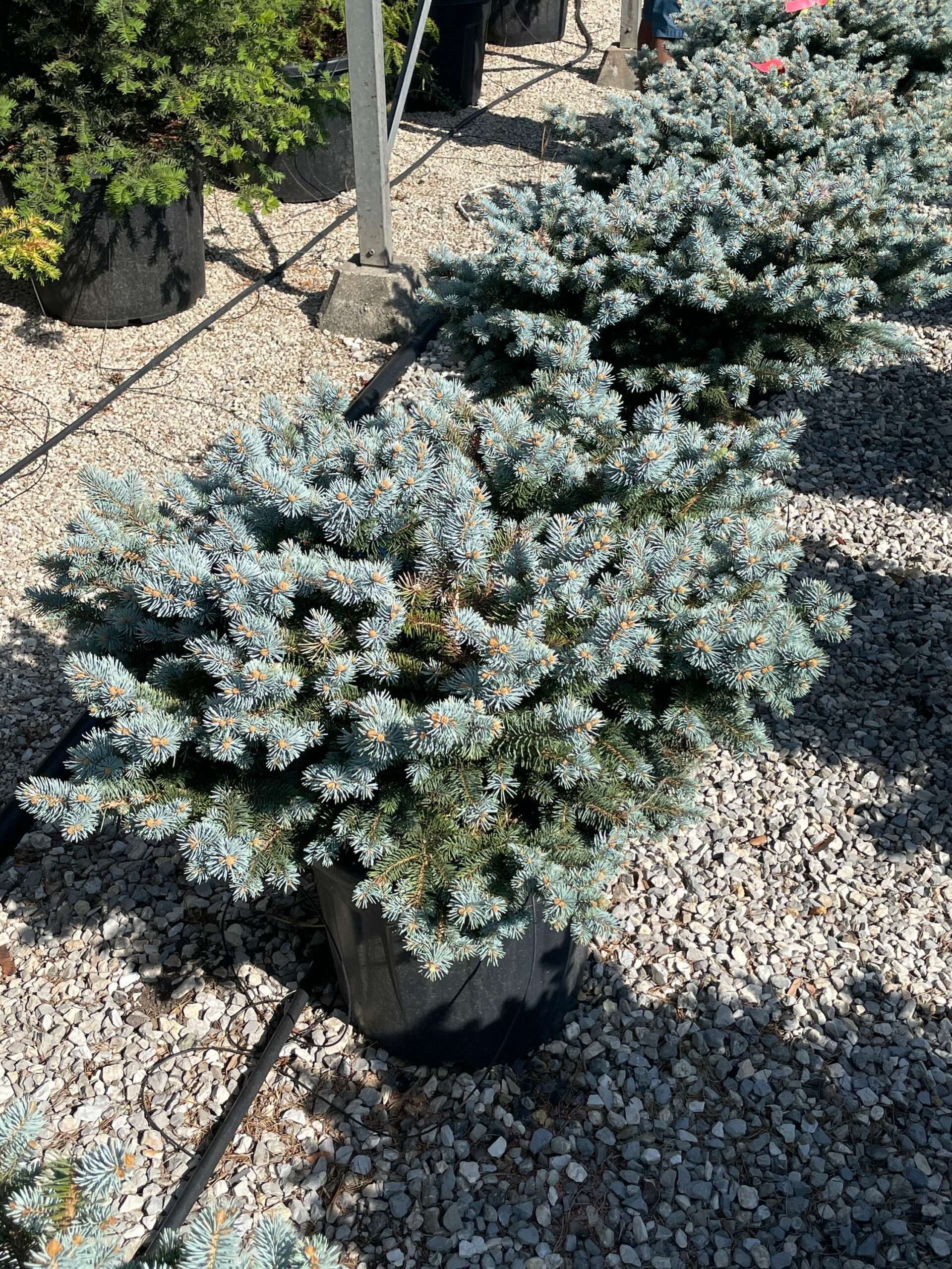 1662107754 scaled e1be9837