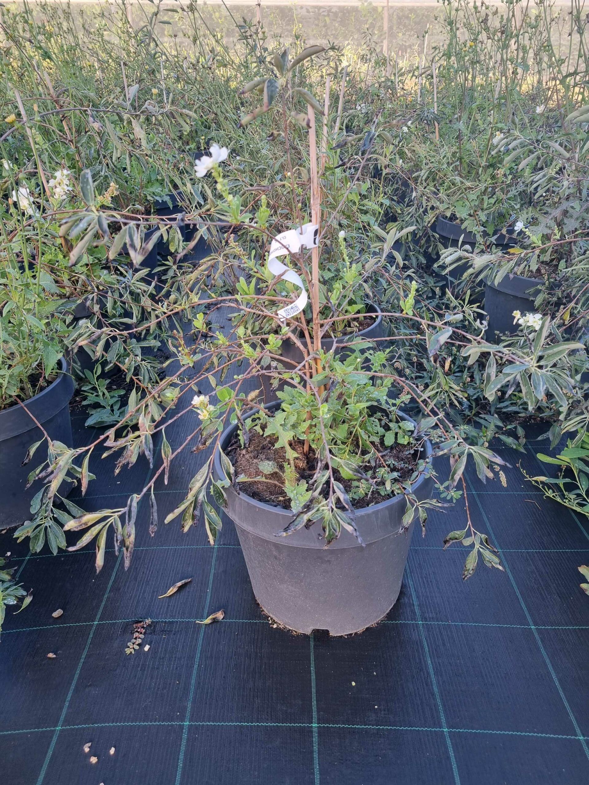 1663570350 scaled e1416b38