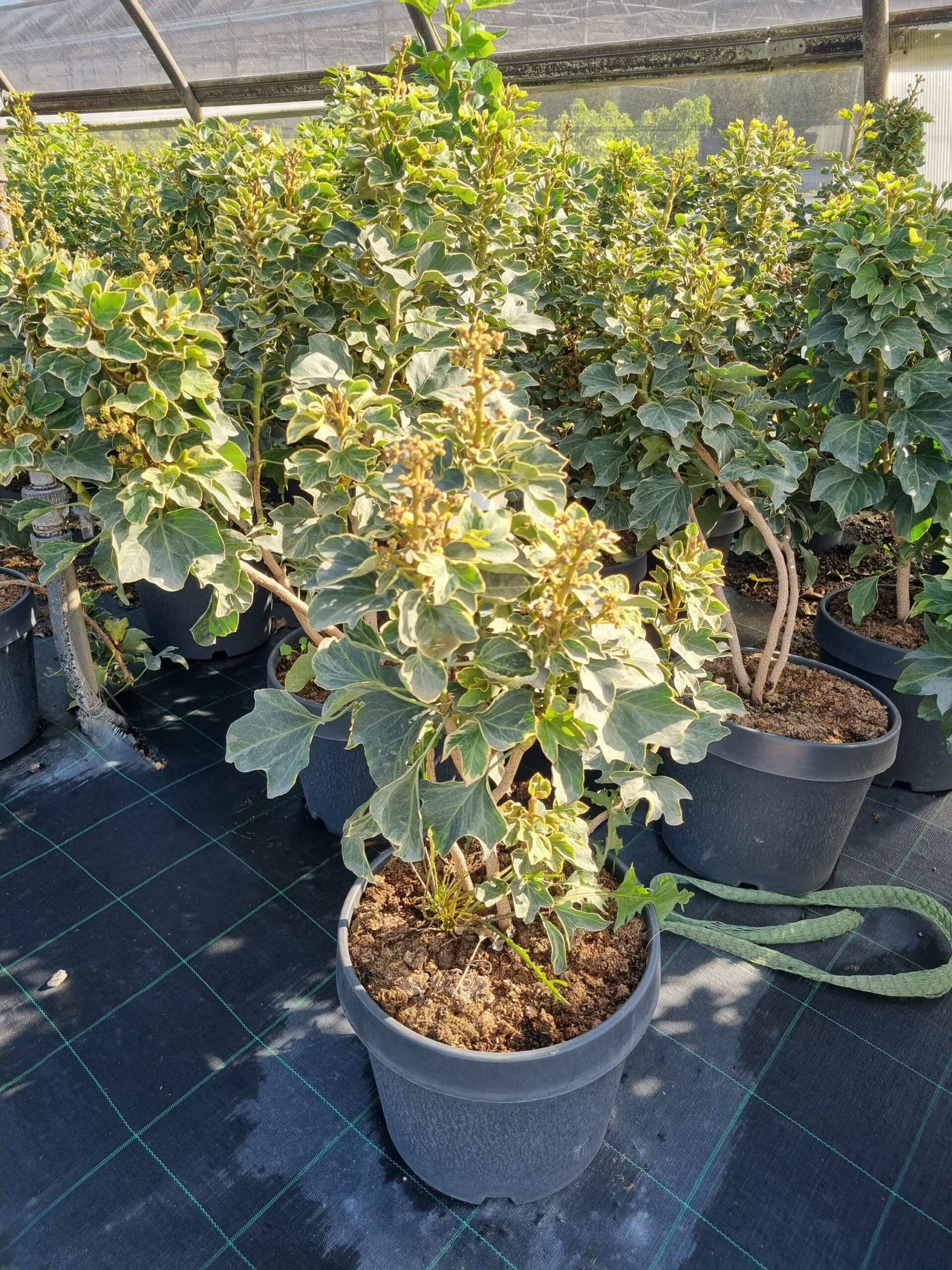 1663573241 scaled e16e35a5