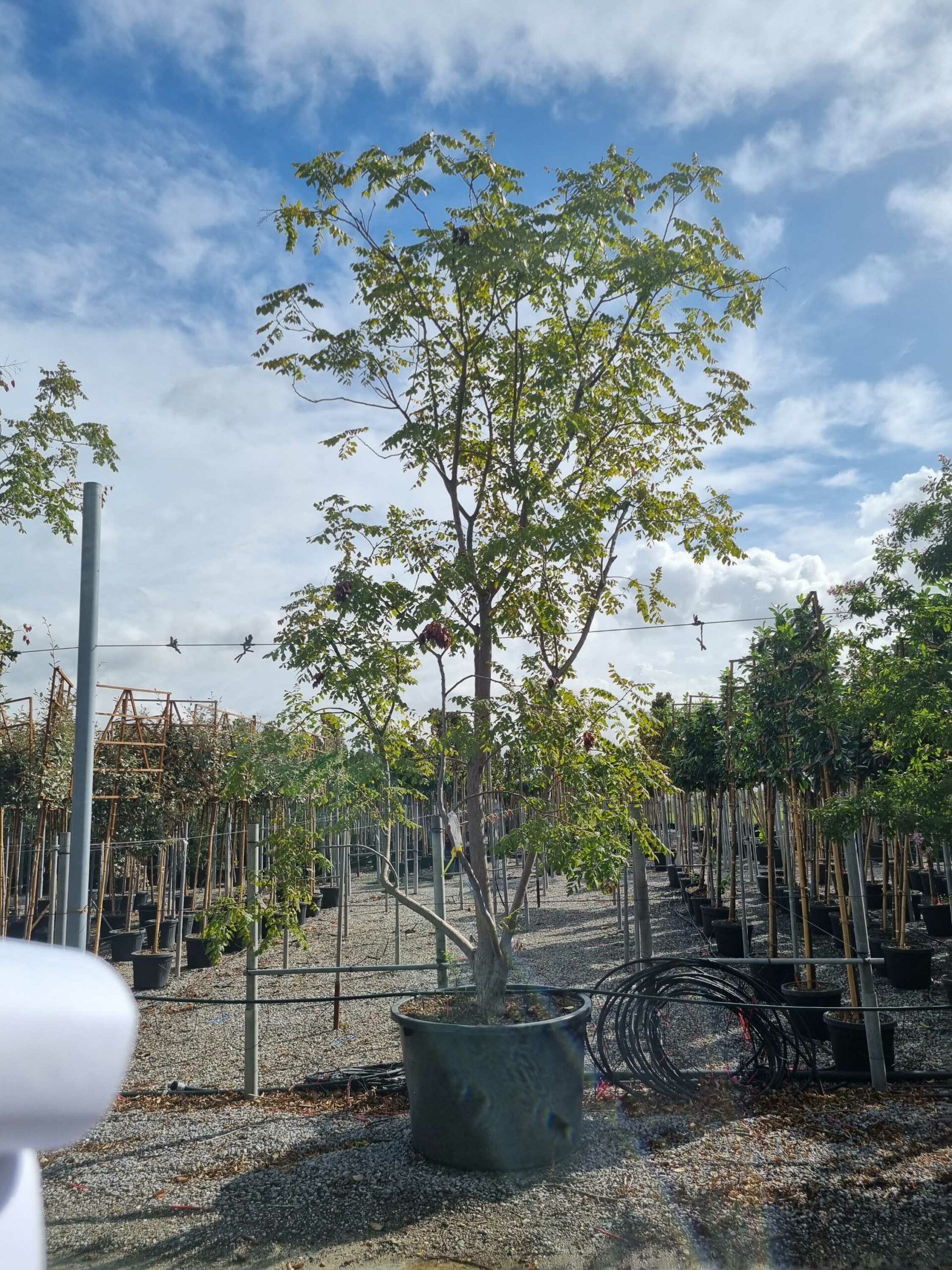 1664441700 scaled e125c151