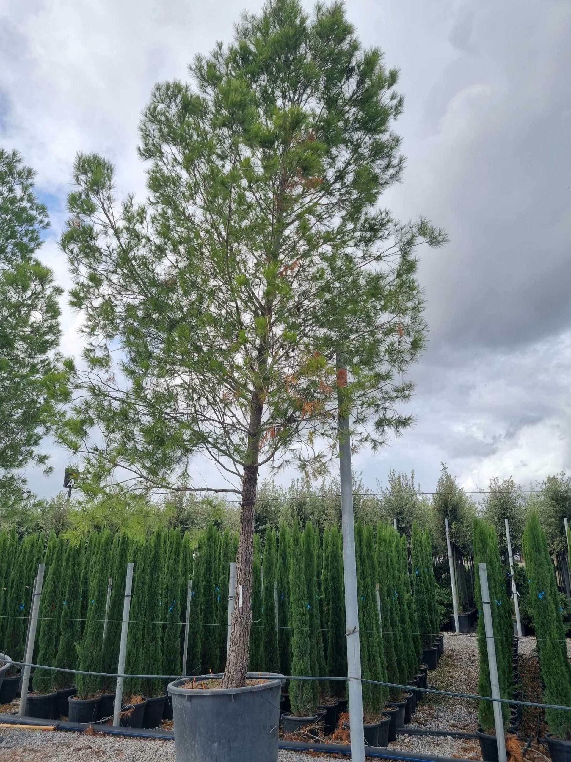 1664443067 scaled e1c29b5f