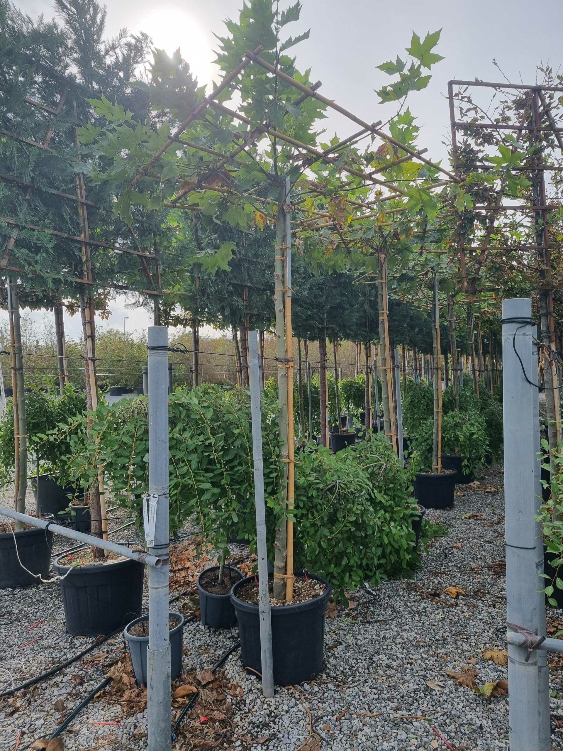 1664460537 scaled e1fd1a65