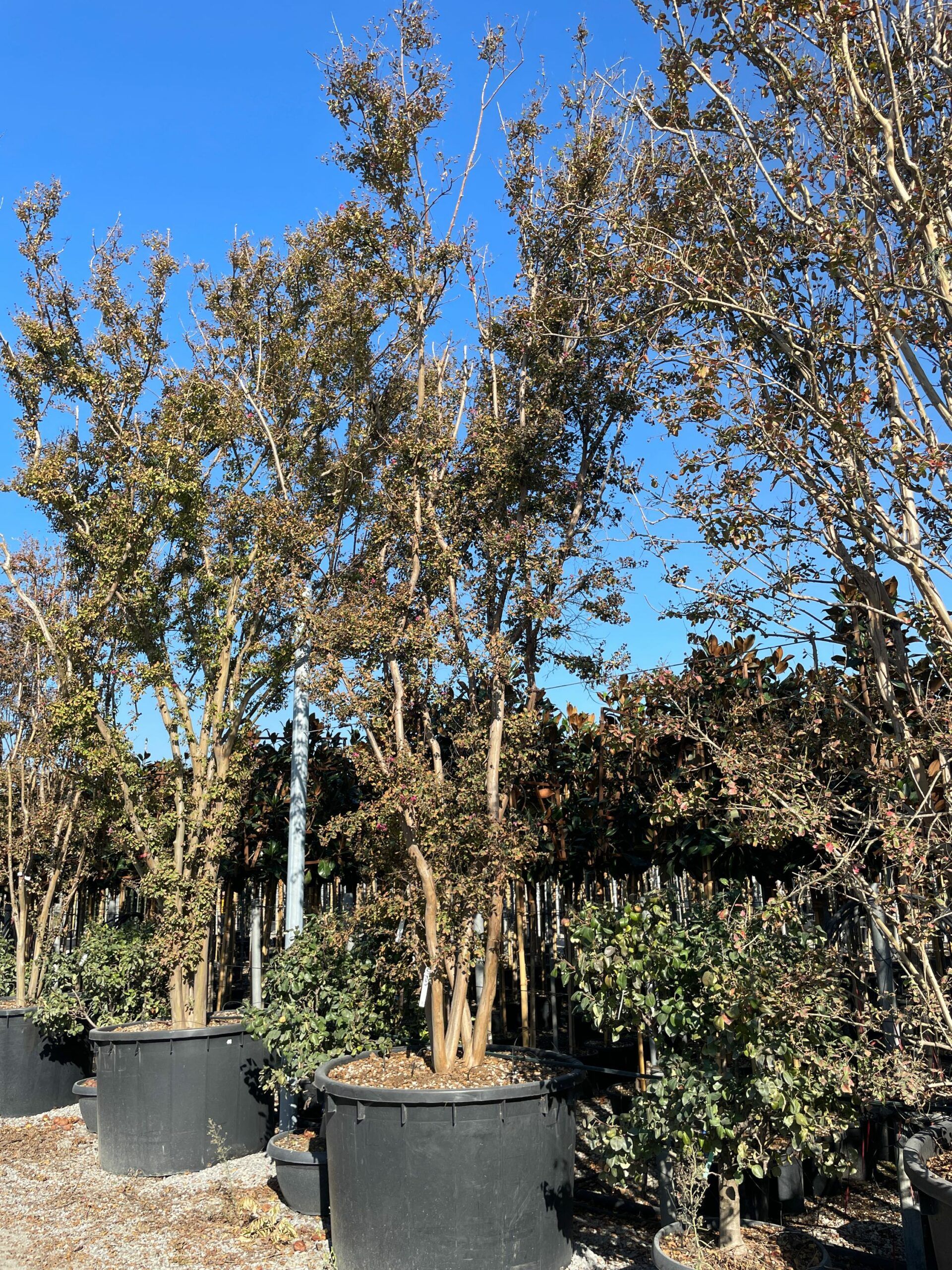 1666184672 scaled e19e8185