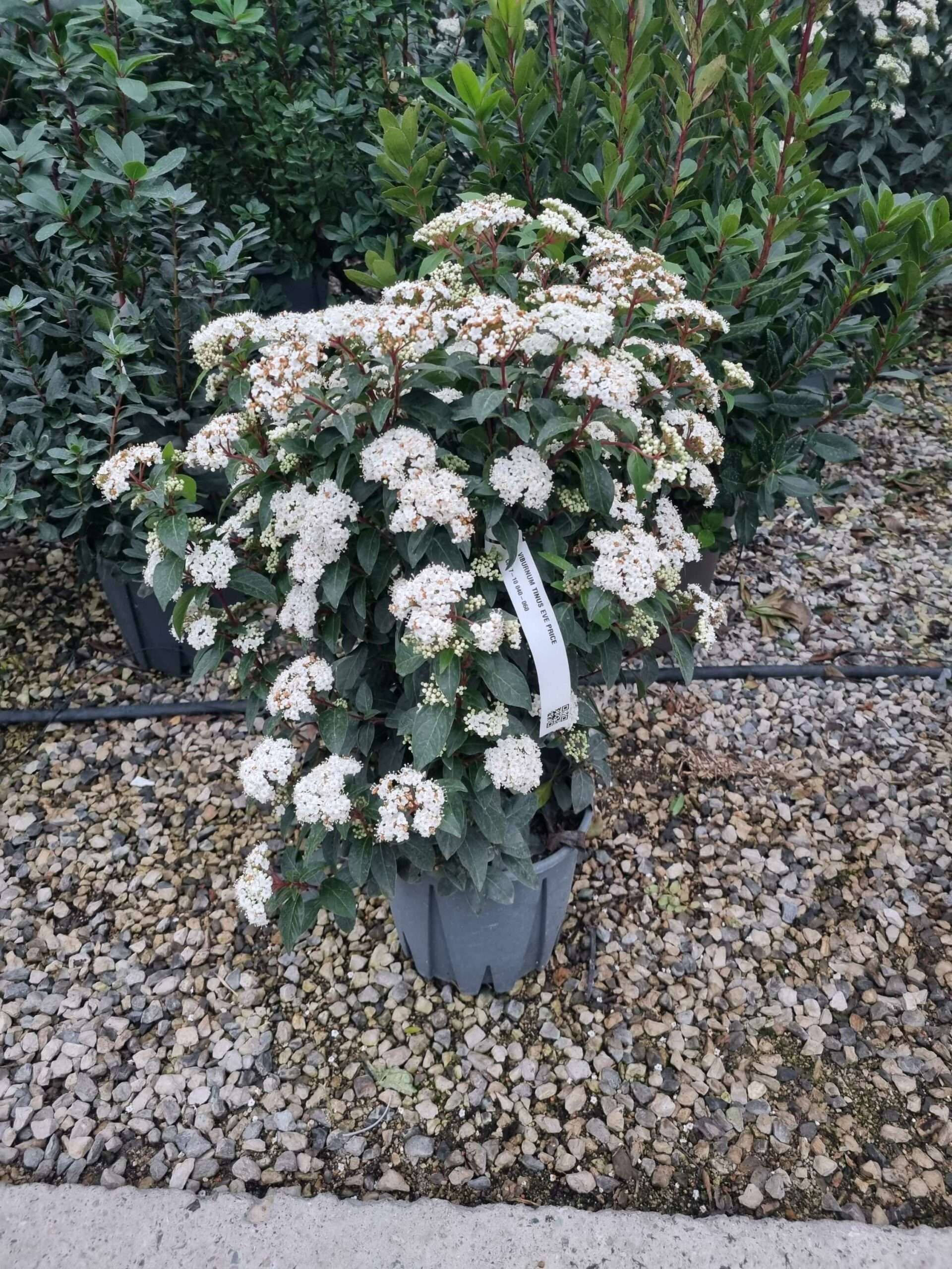 1676562832 scaled e1231443