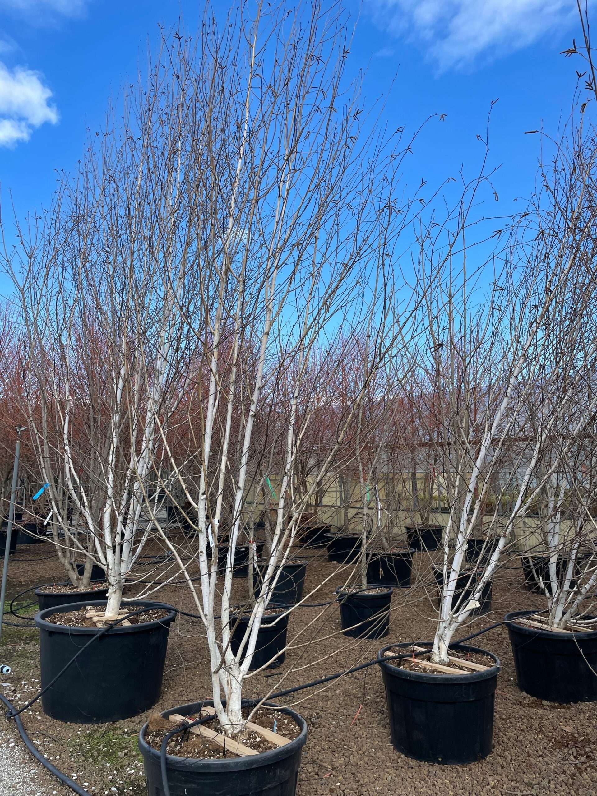 1677849812 scaled e178071e