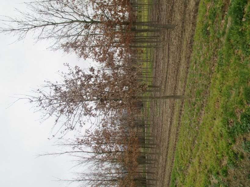 1608804474 rotated e2ef8dcb